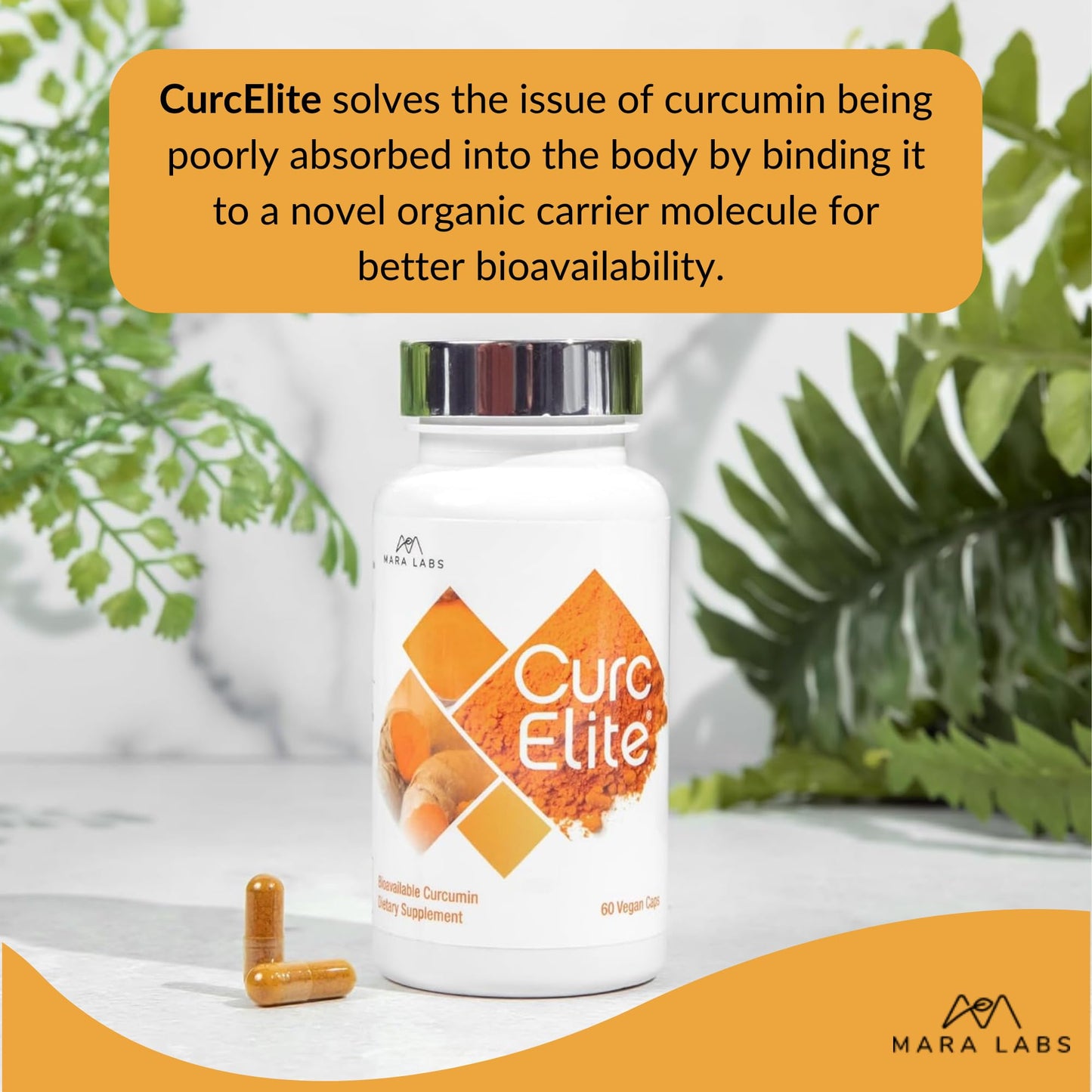 BrocElite CurcElite Curcumin Turmeric Extract 95% Curcuminoids Capsules 60 Count