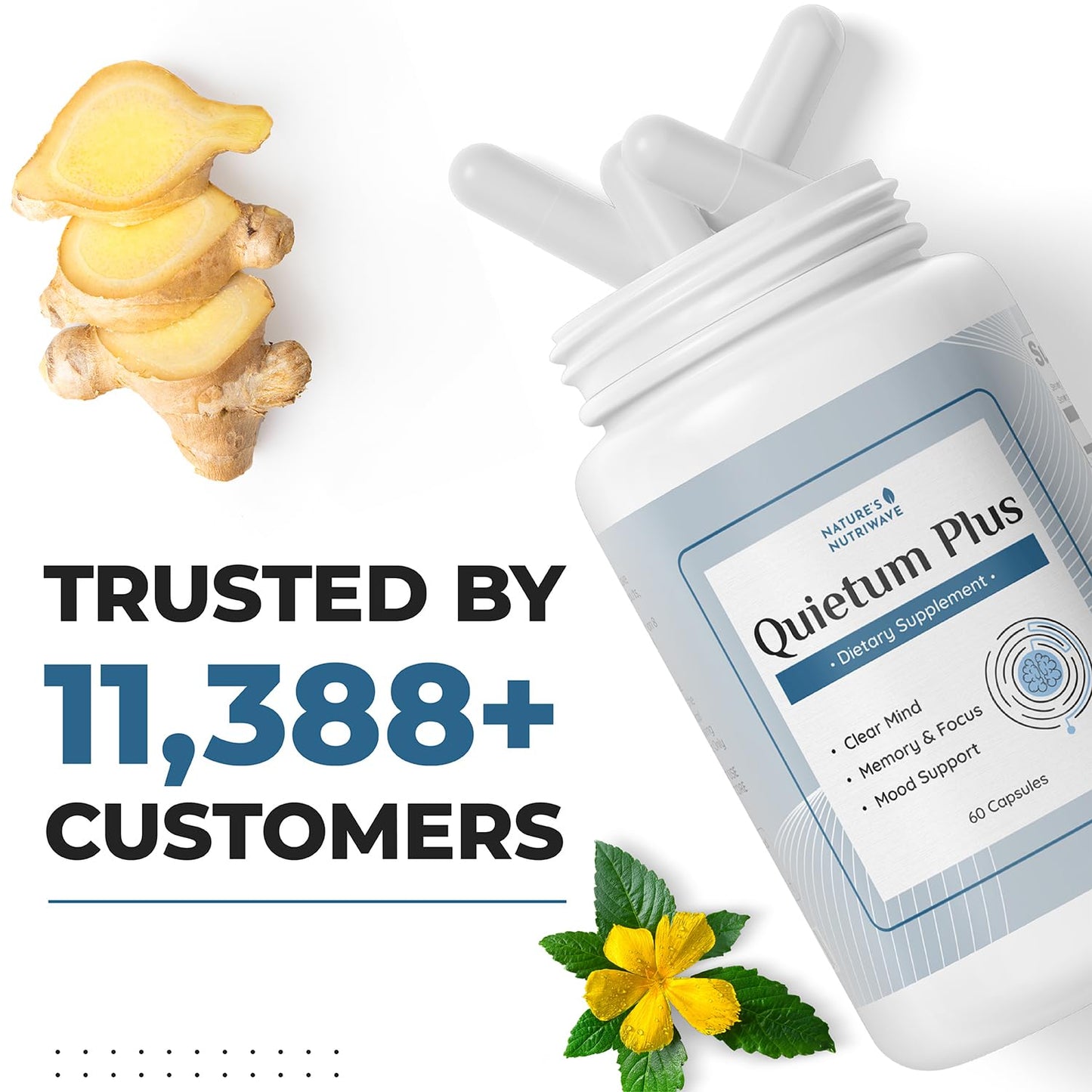 Nature’s NutriWave Quietum Plus 30 Capsules