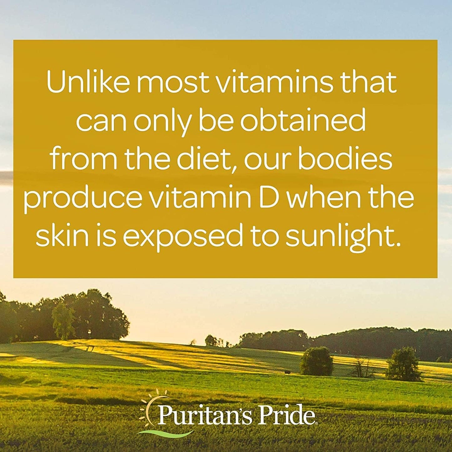 Puritan's Pride Vitamin D3 Softgels 100 Count