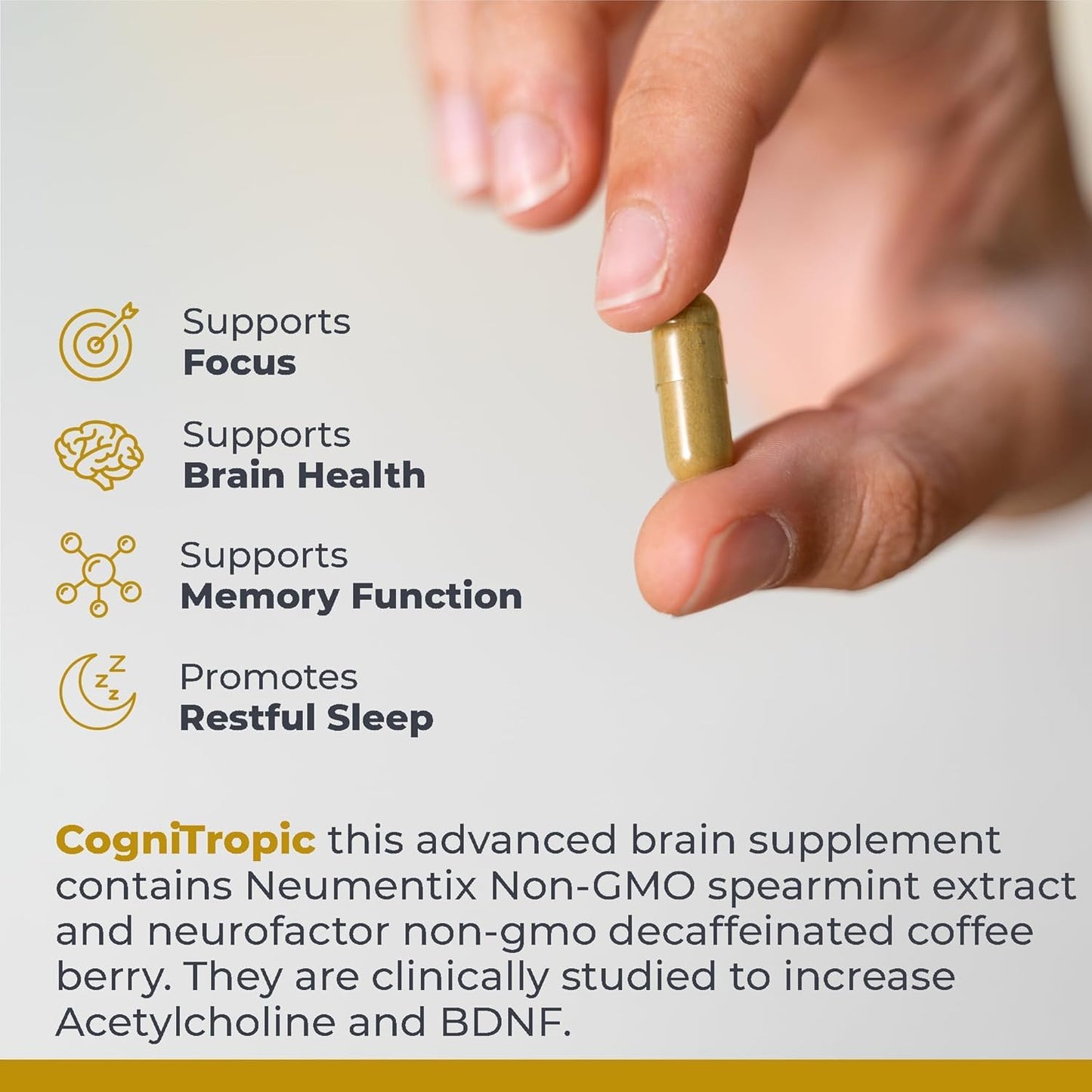 Premier Research Labs CogniTropic Capsules, 120 Count