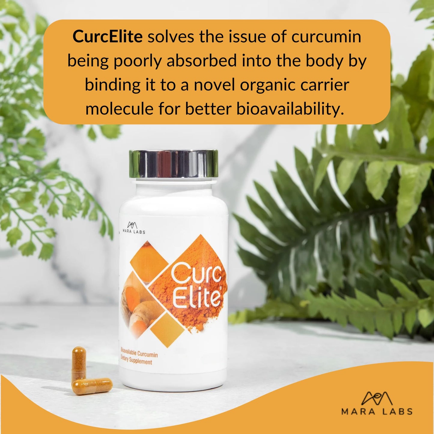 BrocElite CurcElite Curcumin Turmeric Extract 95% Curcuminoids Capsules 30 Count