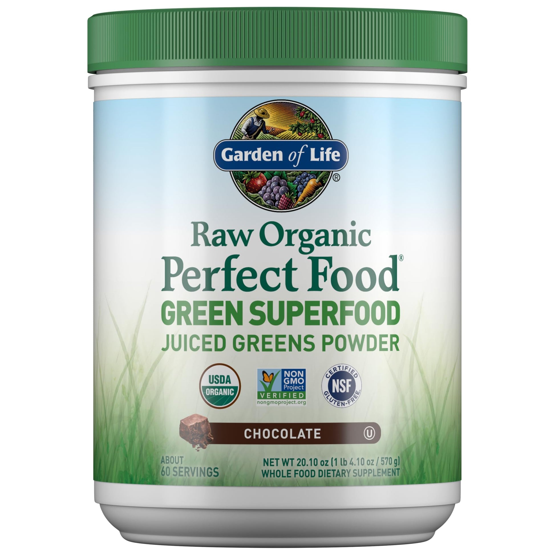 Garden of Life Raw Organic Perfect Food Chocolate Powder 20.1 oz