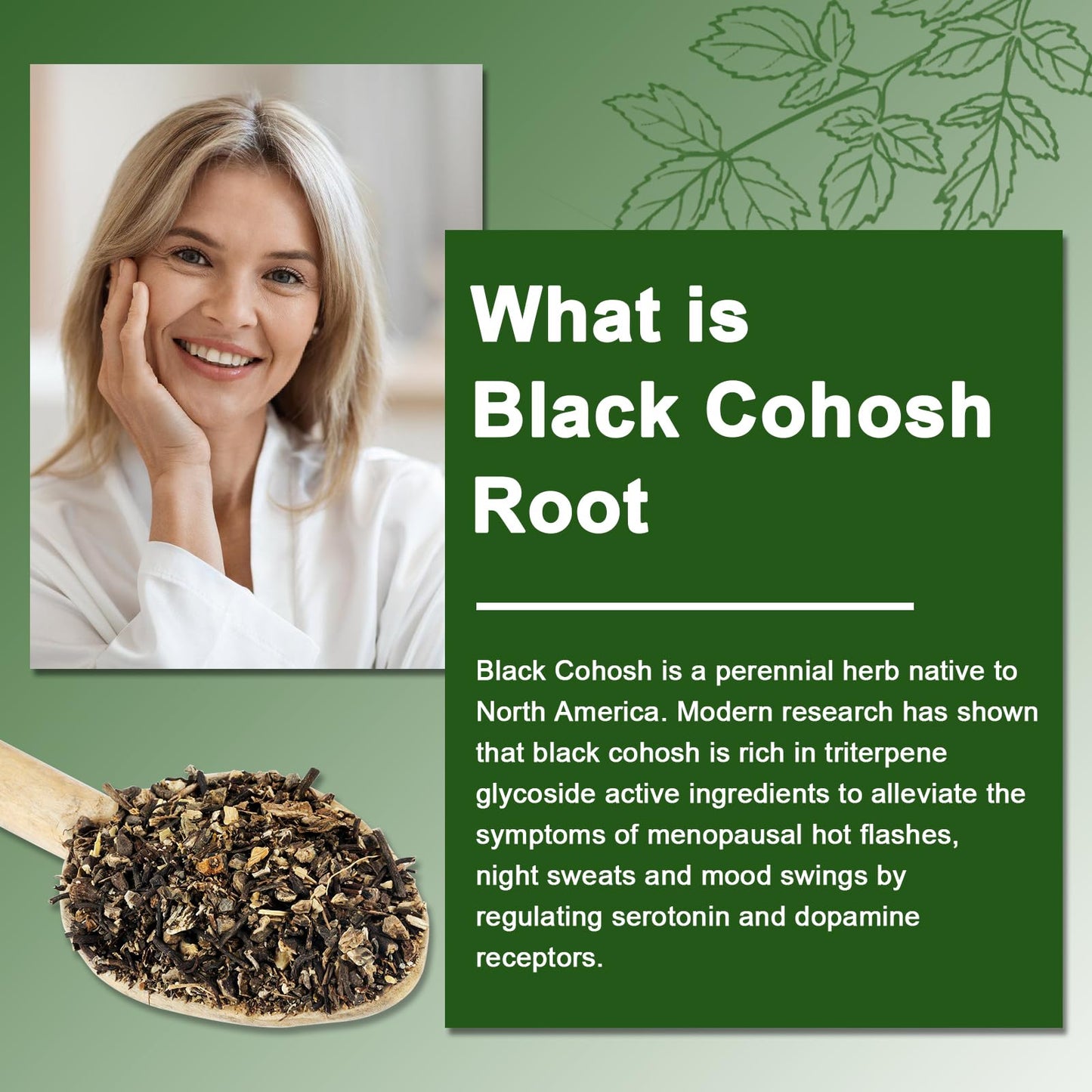 NutraNourish Black Cohosh Gummies 50mg per Serving, 60 Gummies