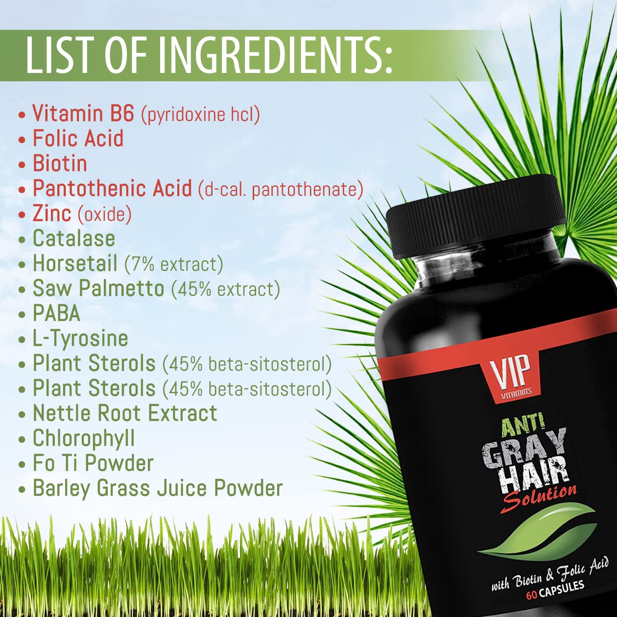 VIP VITAMINS Gray Hair Solution with Biotin & Folic Acid, 60 Capsules