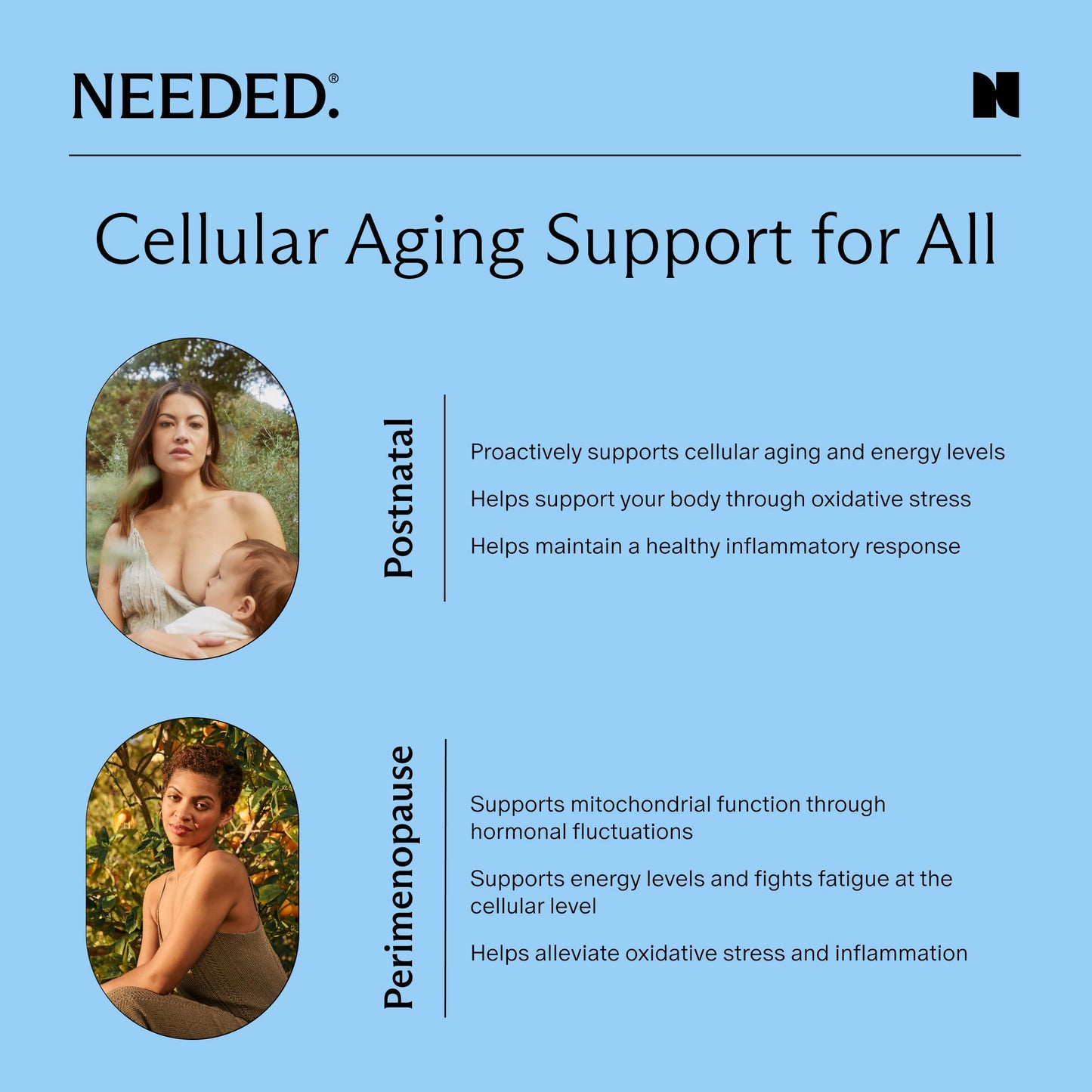 Needed Cellular Aging Support Capsules 30 Count