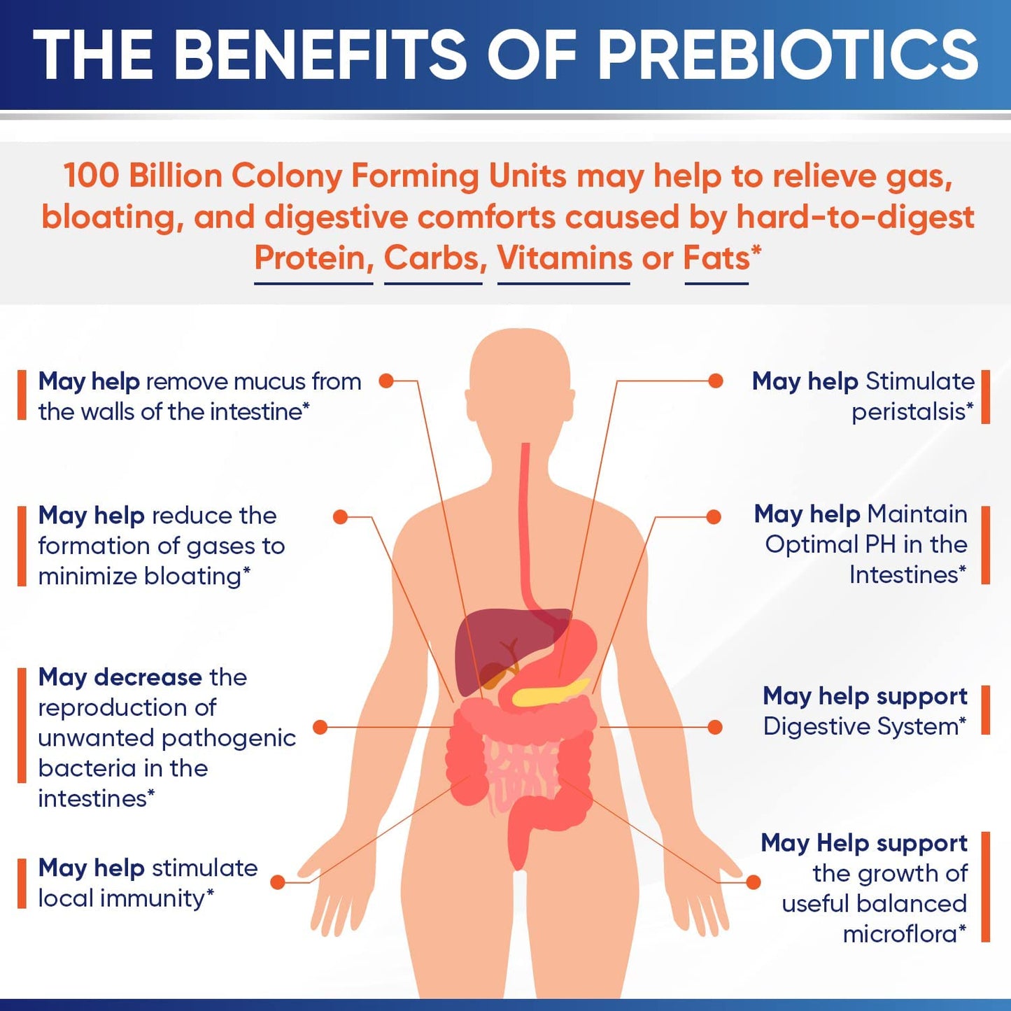 Wholesome Wellness Organic Raw Probiotics 100 Billion CFU Capsule, 30 Count