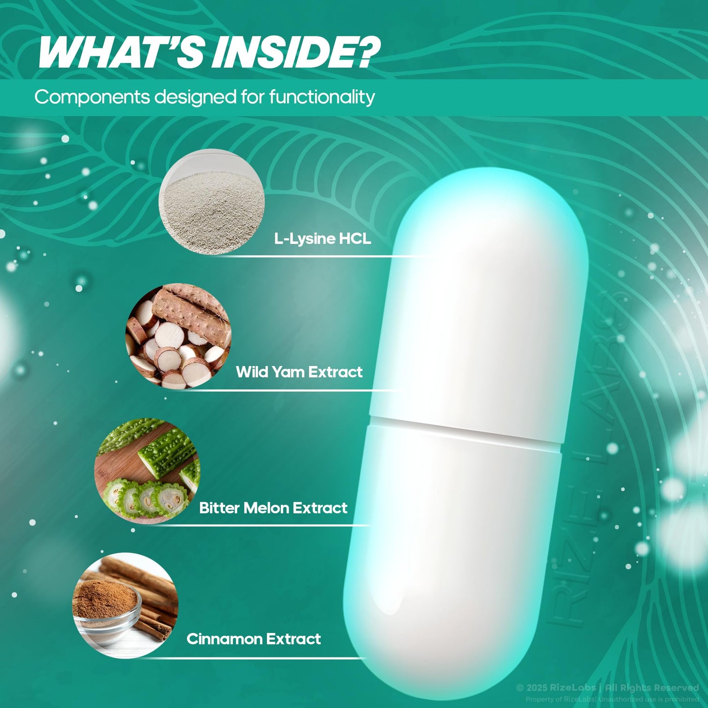 Rize Labs ProMind Complex 180 Capsules