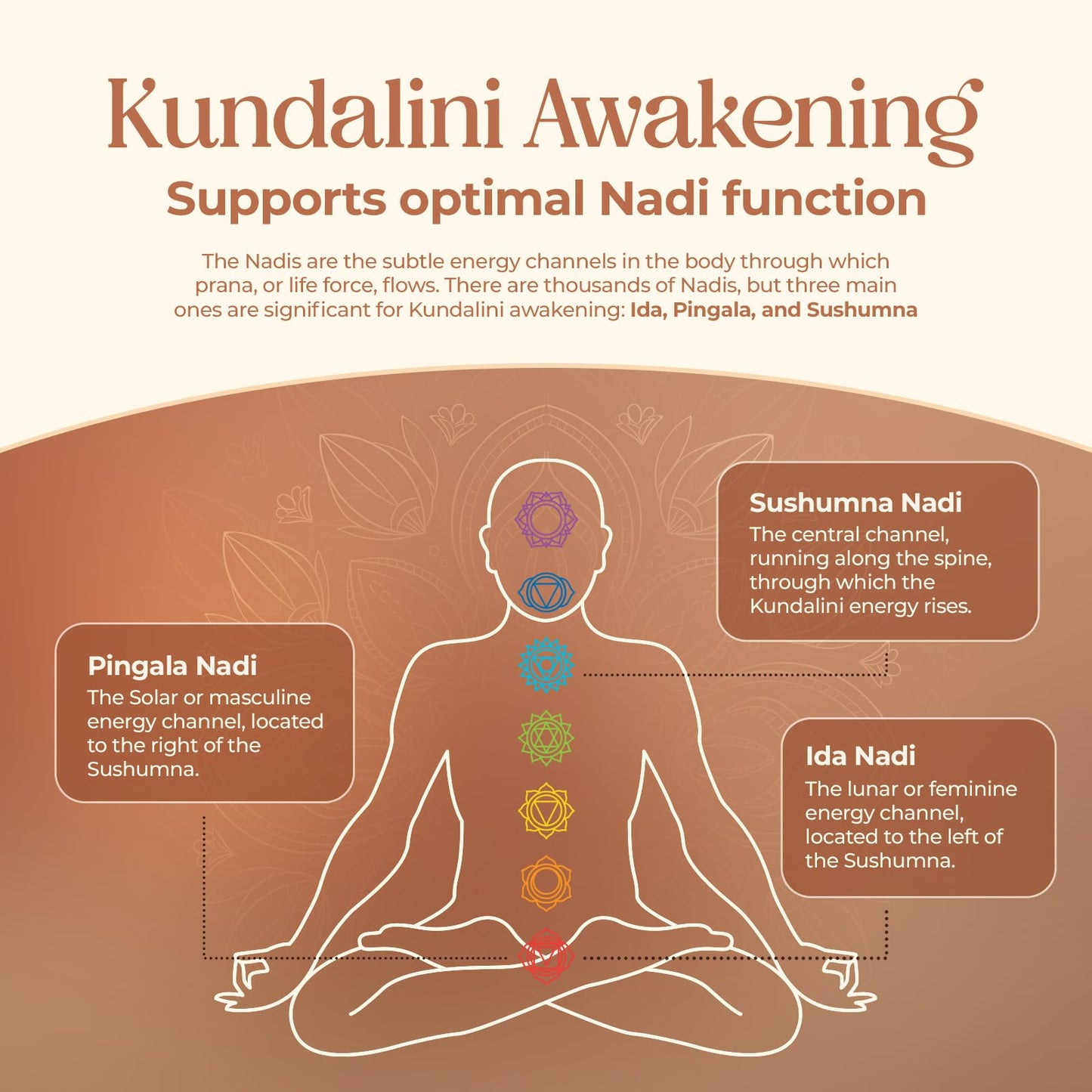 Kailash Herbals Kundalini Awakening Herbal Supplement – Ayurvedic Herbal Blend 100 Capsules