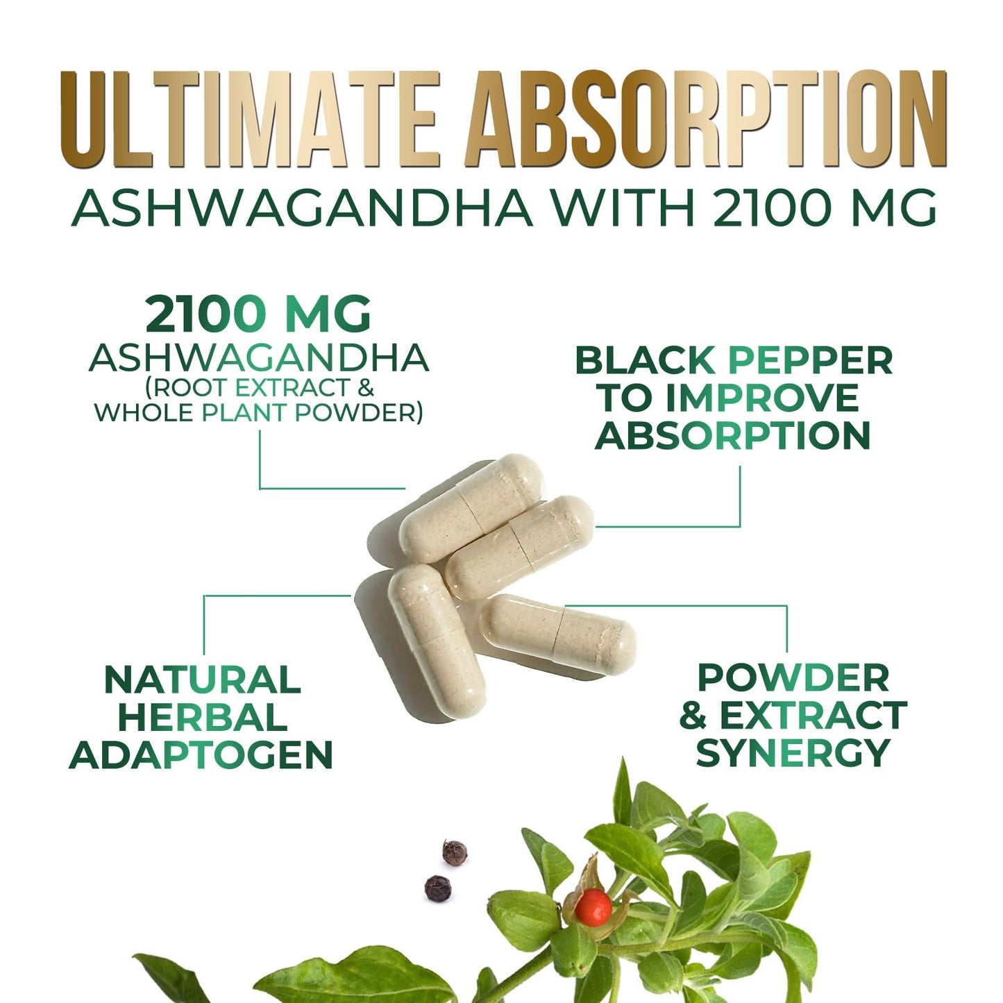 Nature's Nutrition Ashwagandha Capsule 180 Capsules