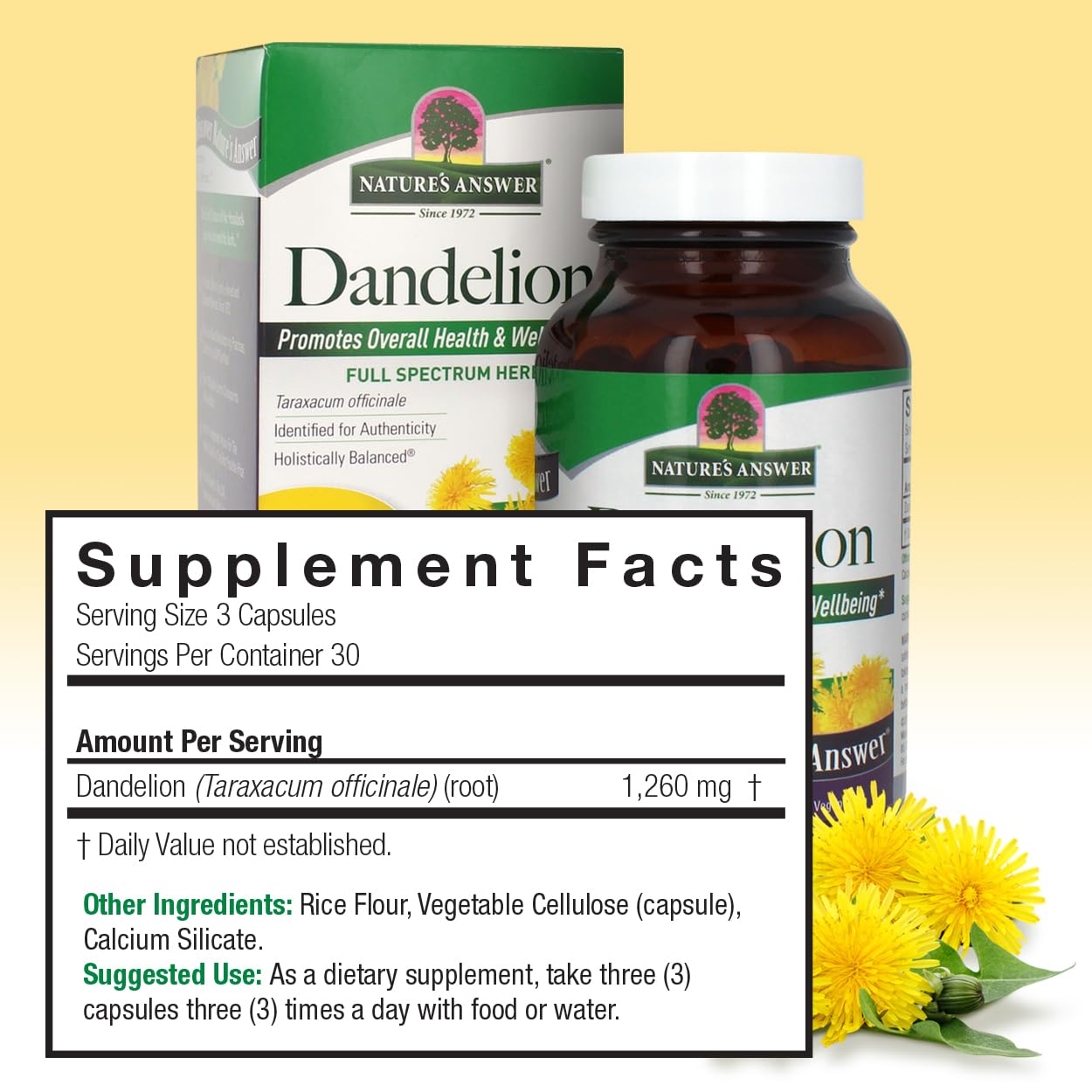 Nature's Answer Dandelion Root Capsule 90 Count