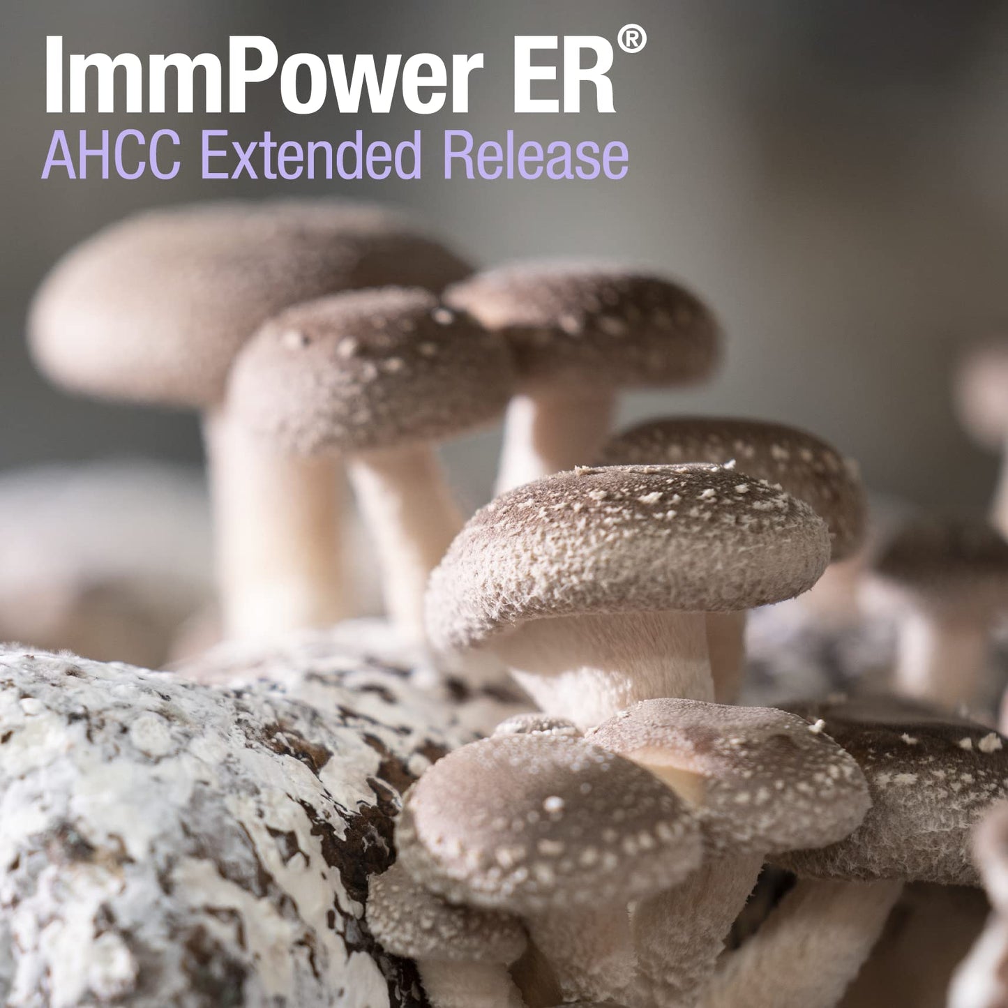 American BioSciences Imm Power ER AHCC (Extended Release) Immune Support Mushroom Supplement 60 Capsules