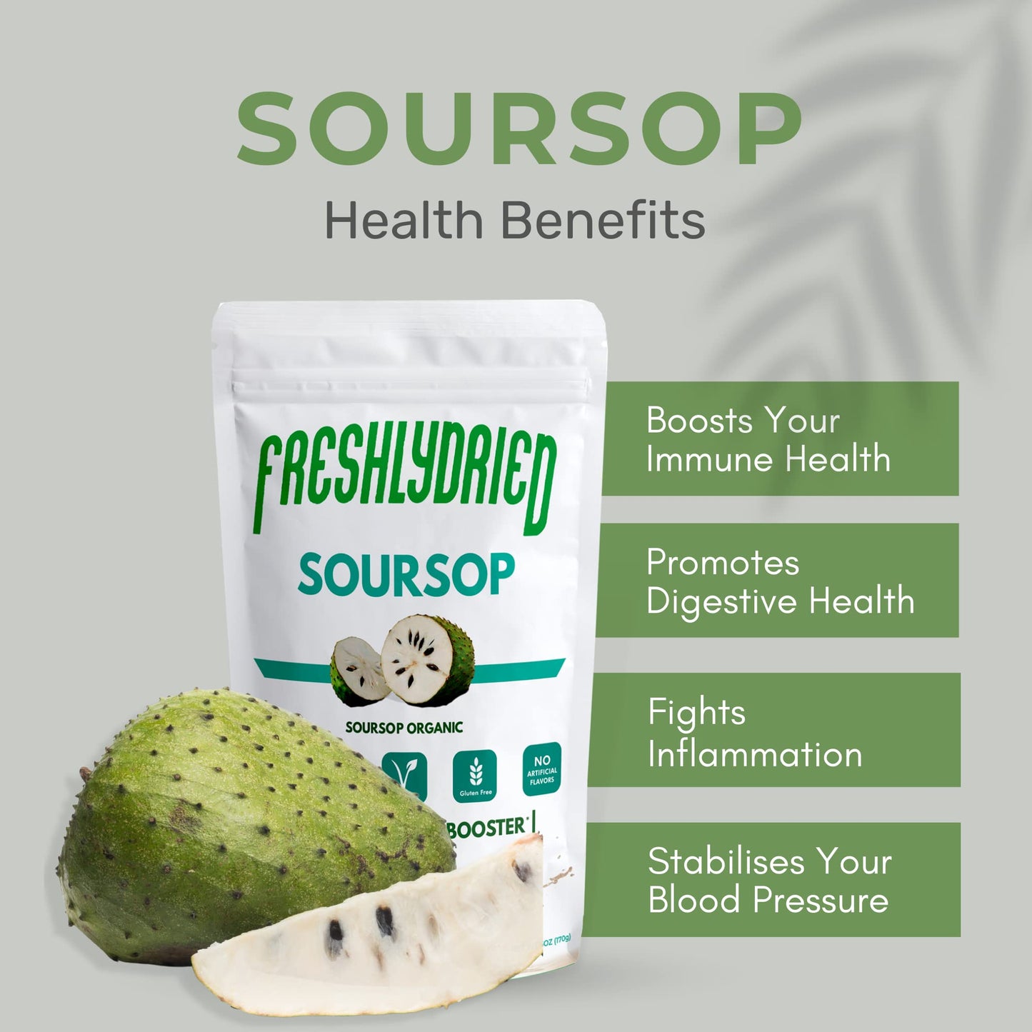 Freshlydried Concentrated Soursop - Graviola - Guanabana Powder 6 Oz