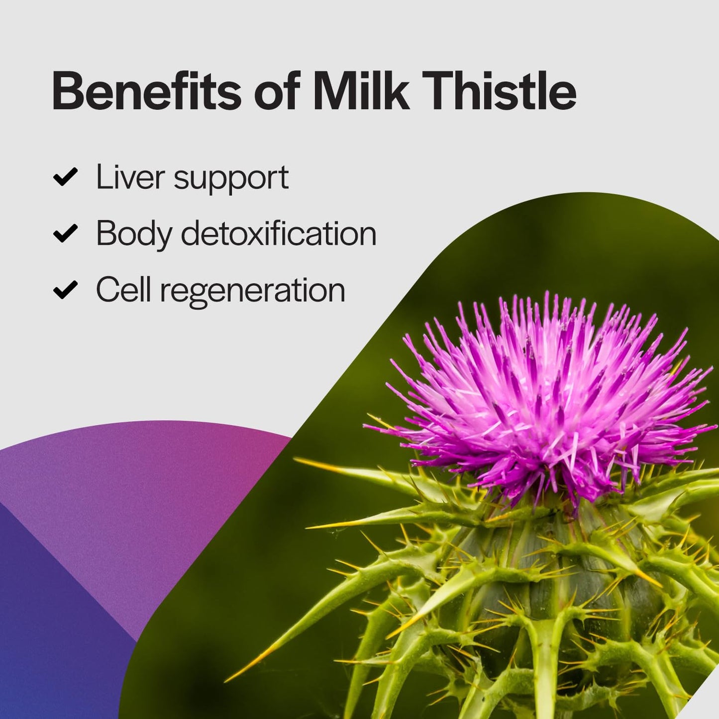 PureFormulas Milk Thistle Supreme 250 mg – Liver Health & Antioxidant Support – Non-GMO Vegetarian Capsules, 60 Count