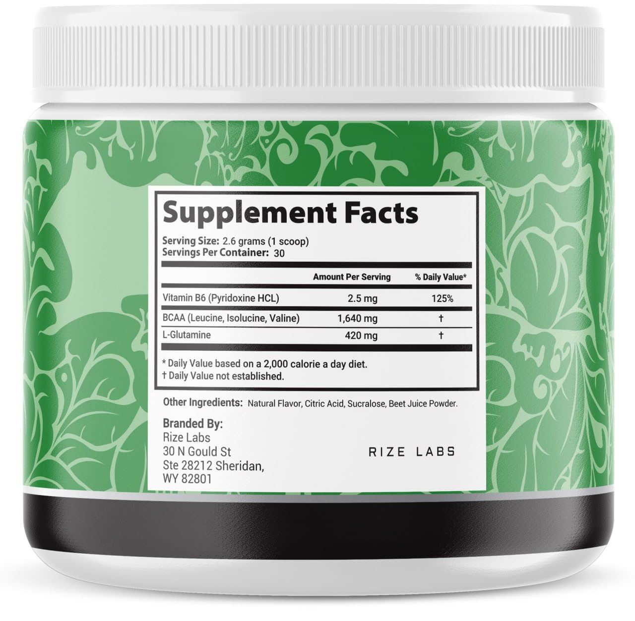 Rize Labs Fast Lean Pro Advanced Formula BCAA Supplement Powder, Pack of 5