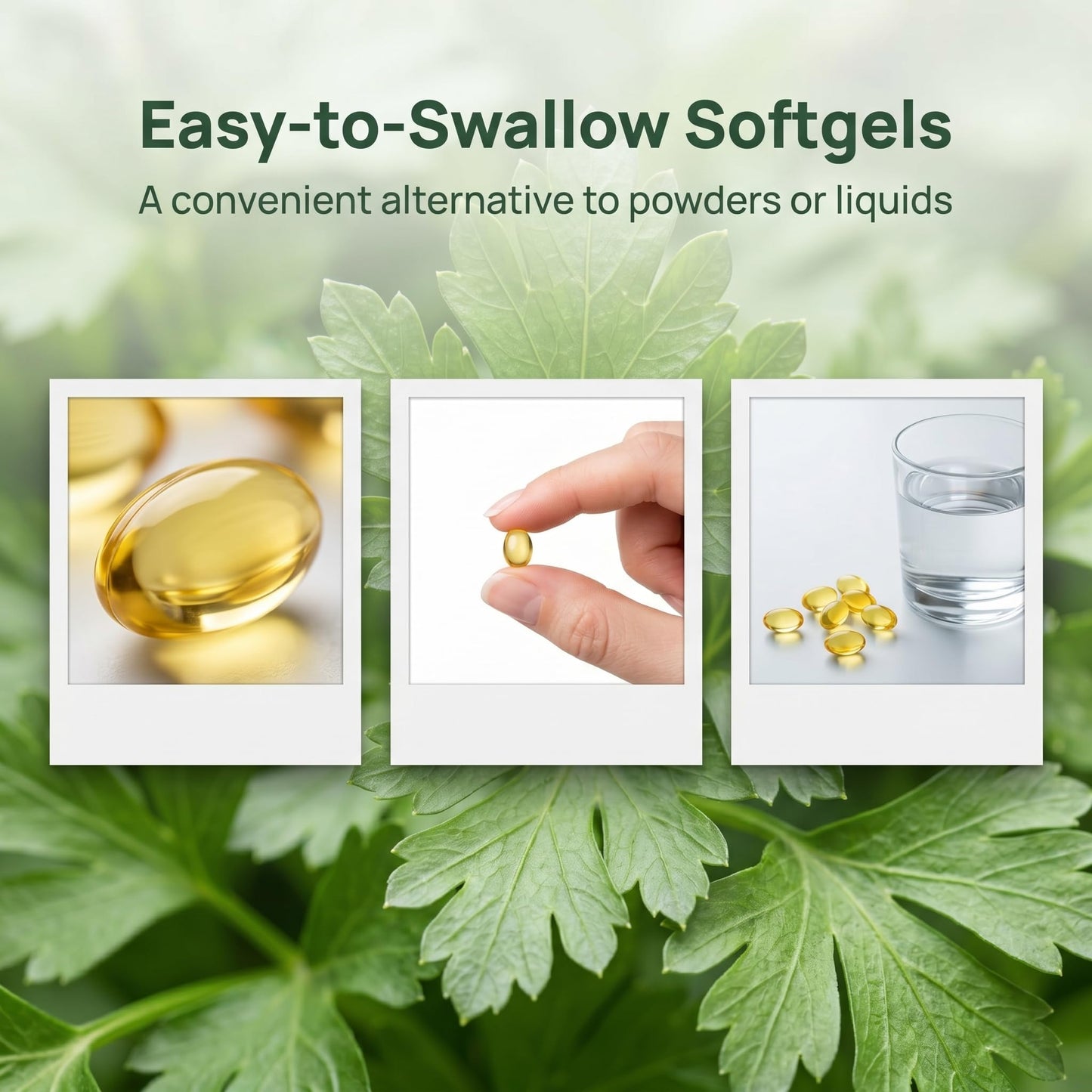KBKTWOLT Elvarim Aged Garlic Extract Softgels 300