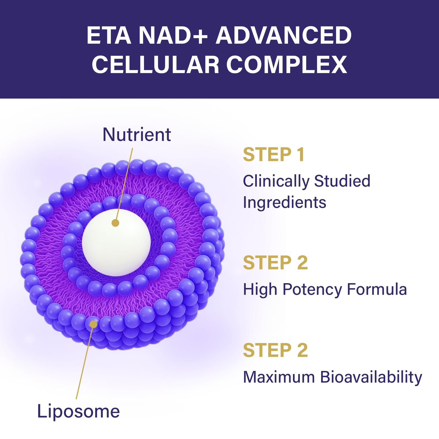ETANATURE NAD+ Supplement Capsules 60 Count