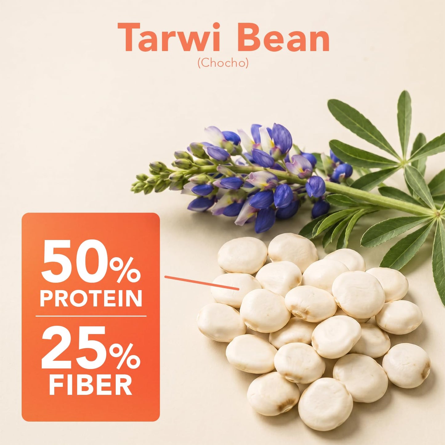 It's Good Energy Tarwi Bean (Chocho) Protein Powder 16 oz