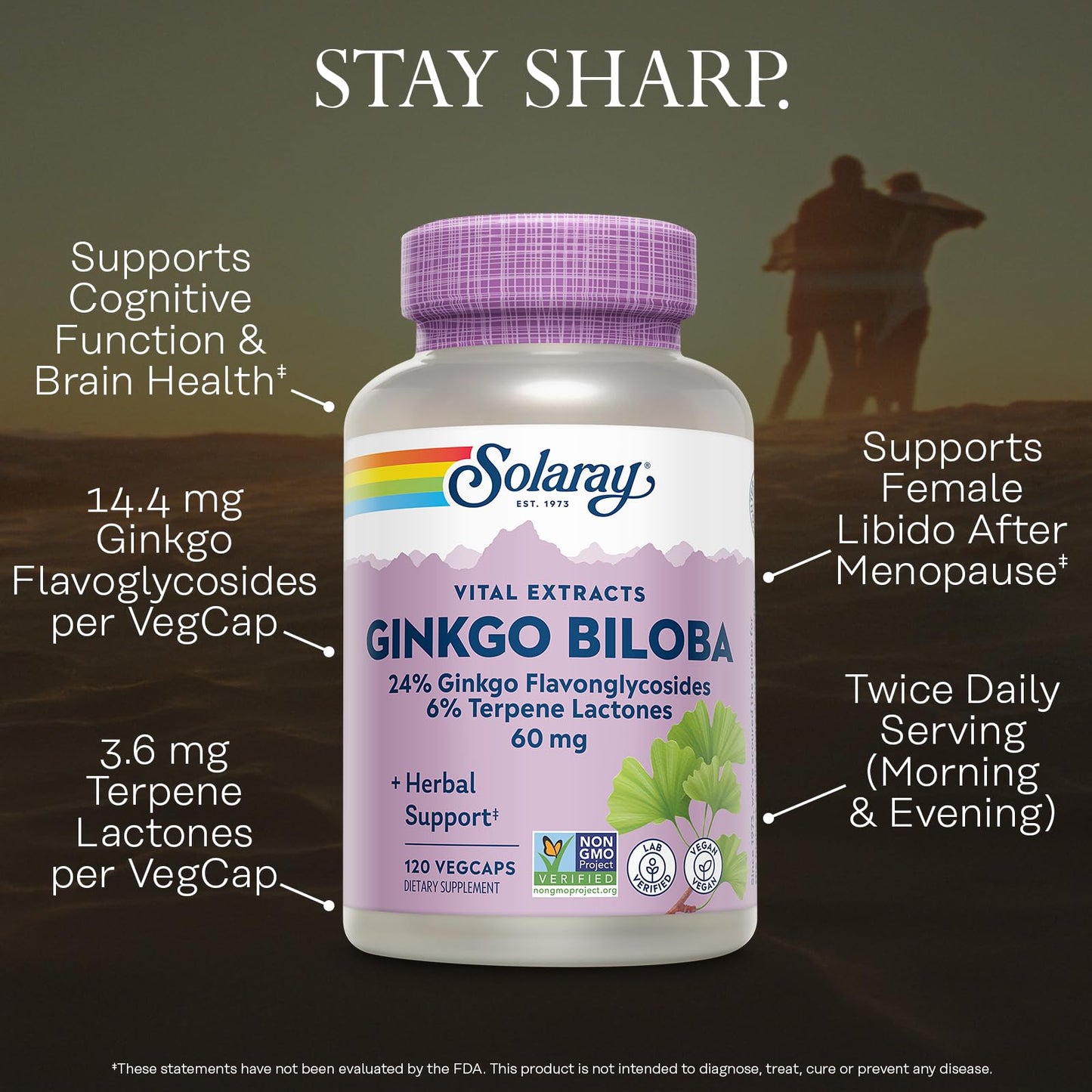 SOLARAY Ginkgo Biloba Extract Capsules 120 Count