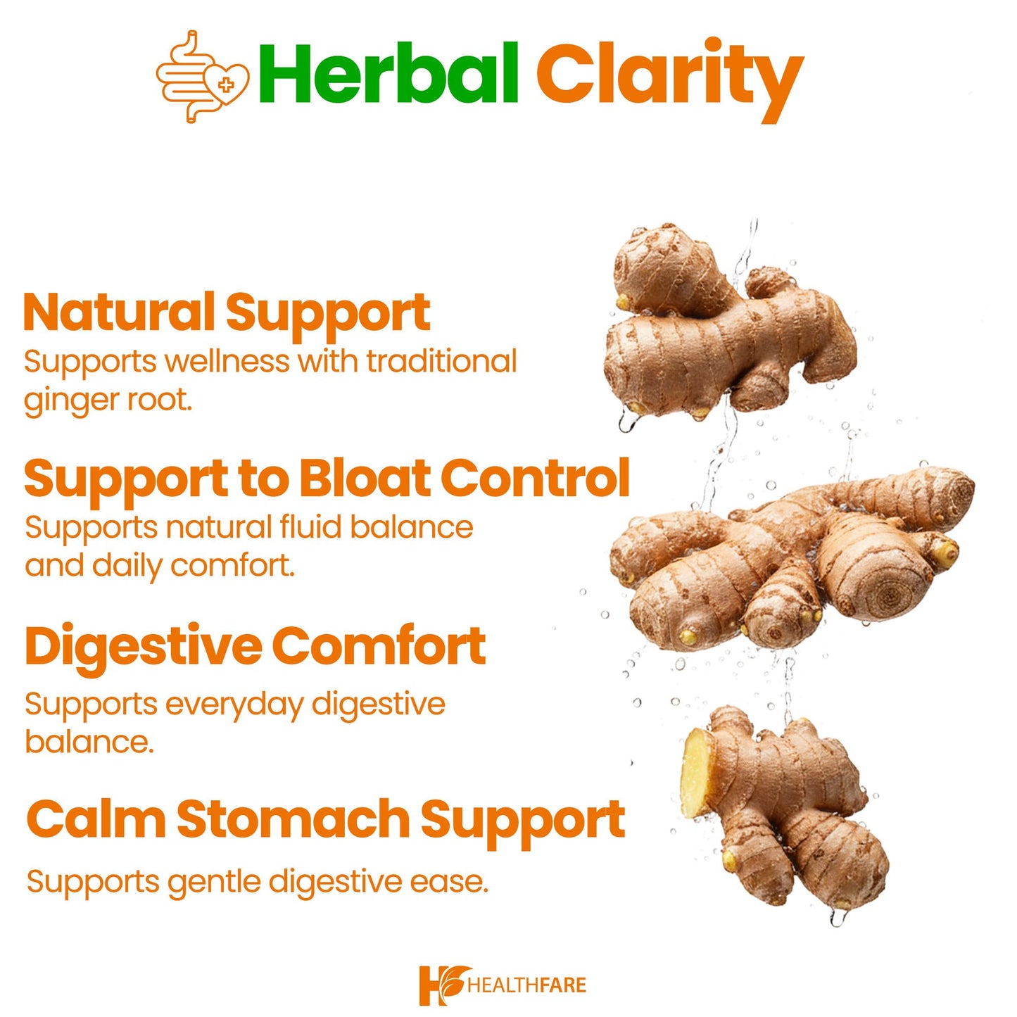 Healthfare Ginger Root Extract 4000mg Capsule, 200 Count