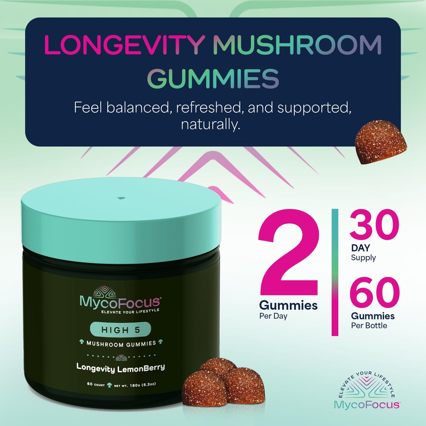 MycoFocus High5 Mushroom Gummies 60 Count