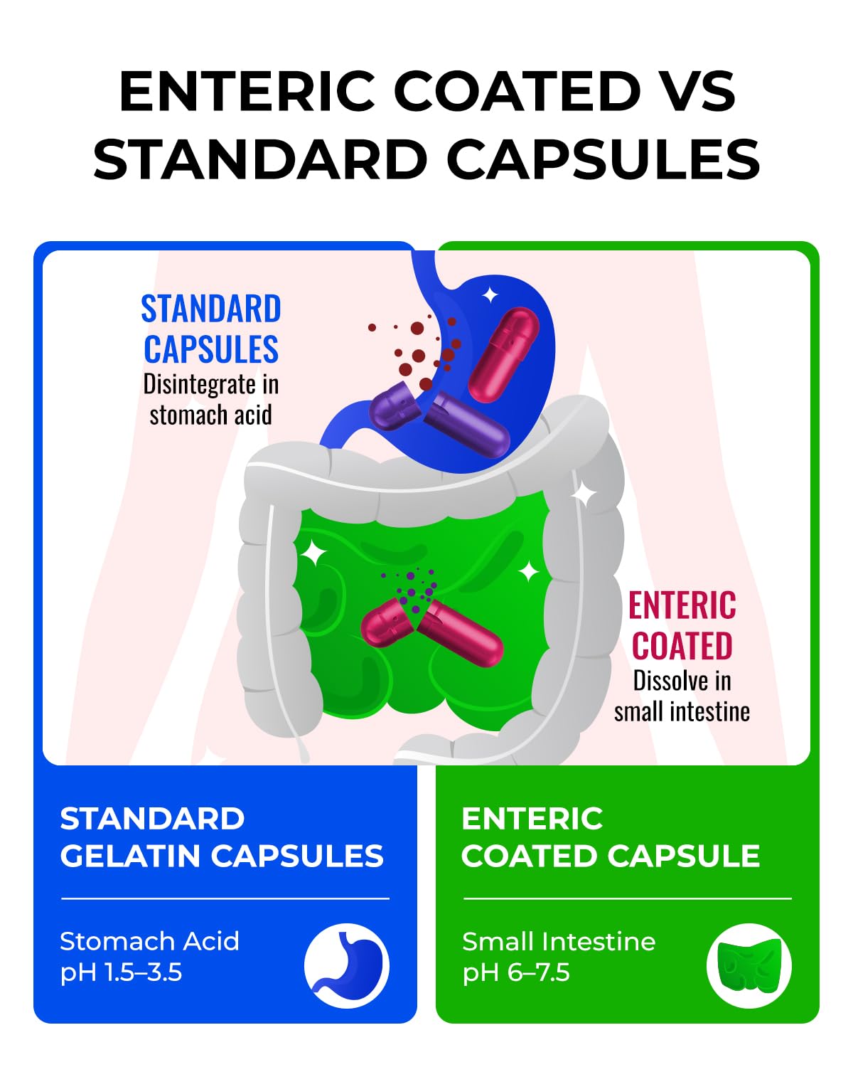 MéipaLien Enteric Coated Empty Gelatin Capsules Size 0 100 Capsules