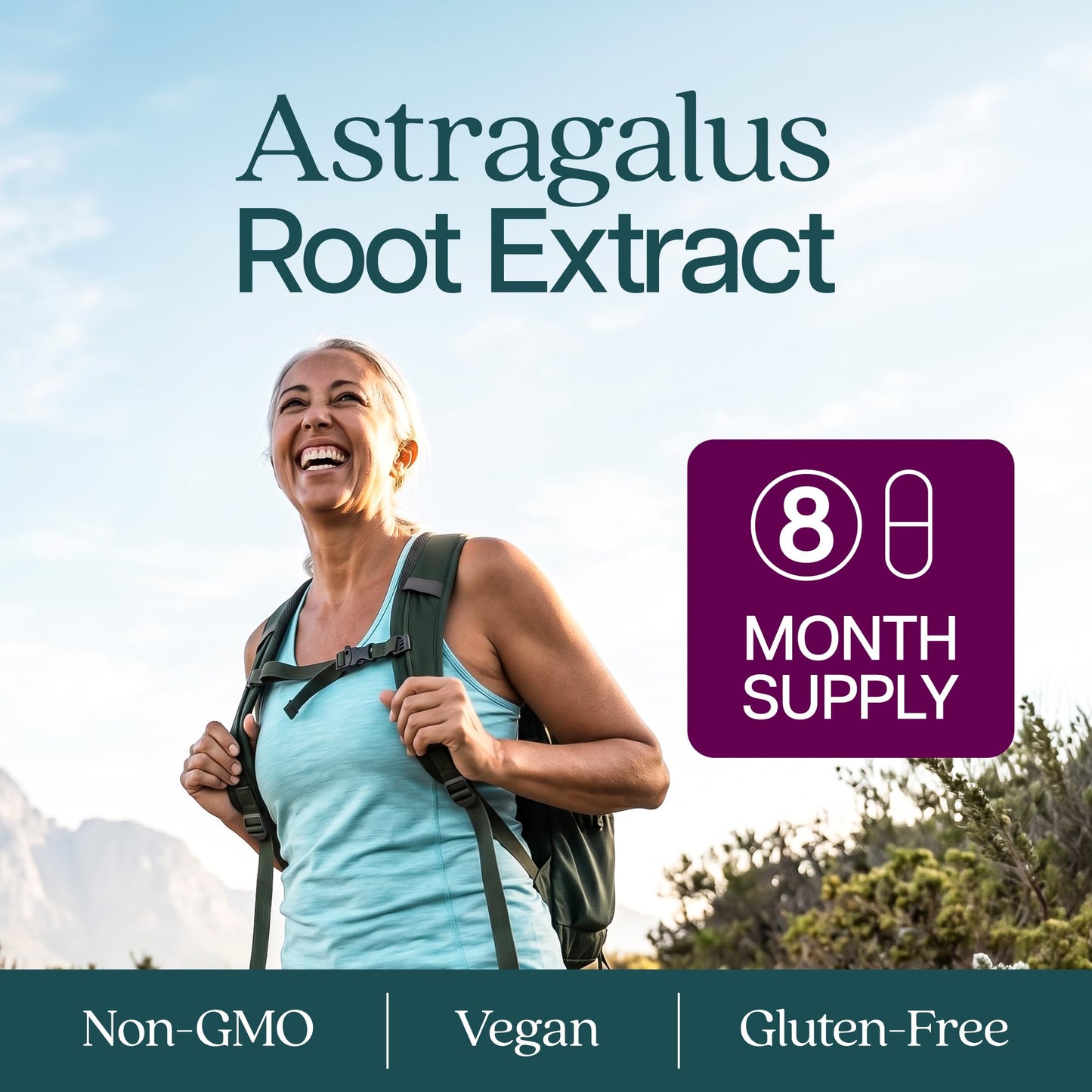 Purely Holistic Astragalus Root Capsule, 250 Capsules