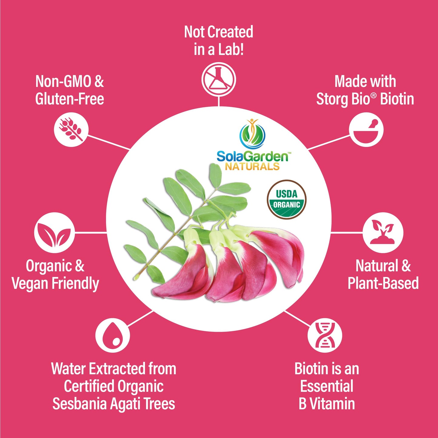 LifeGarden Naturals USDA Organic Whole Food Biotin Supplement Capsule 60 Capsules