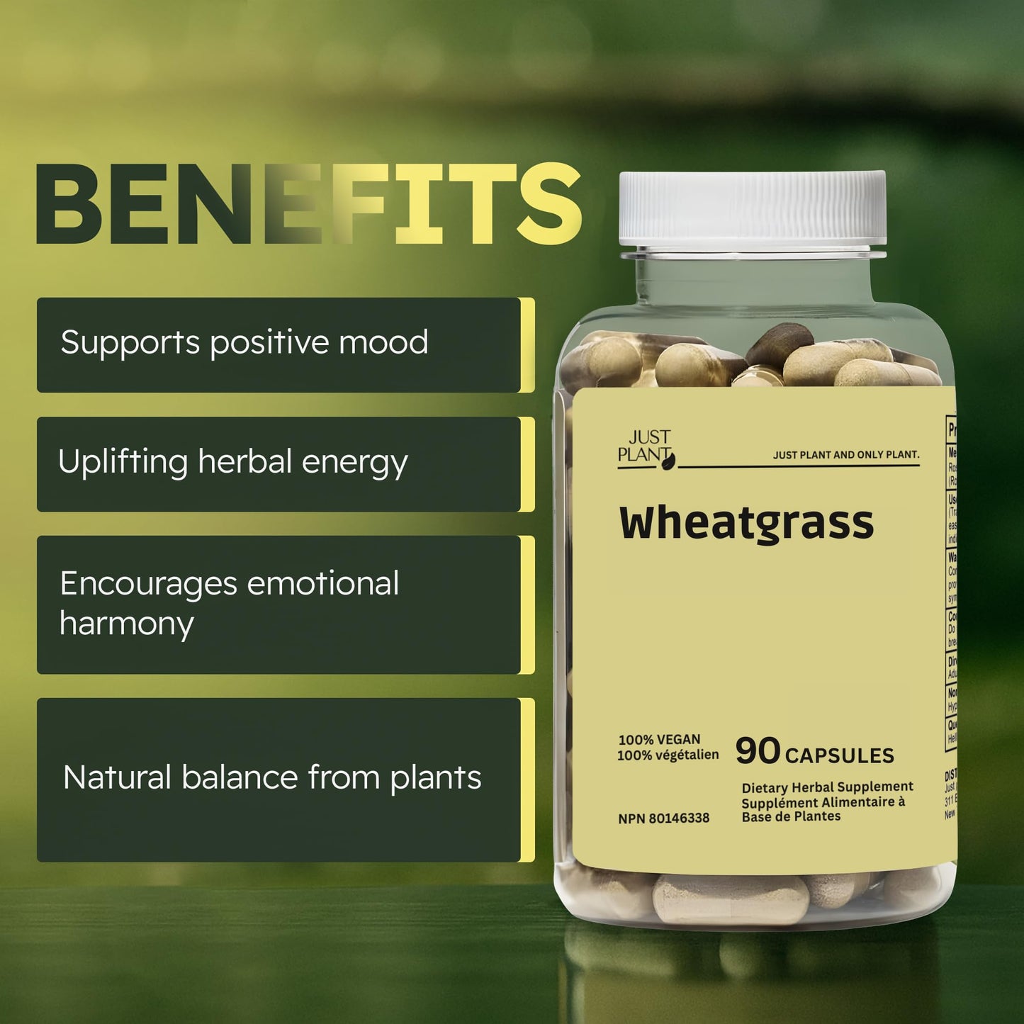 Just Plant Organic Wheat Grass Capsules 500 mg, 90 Count