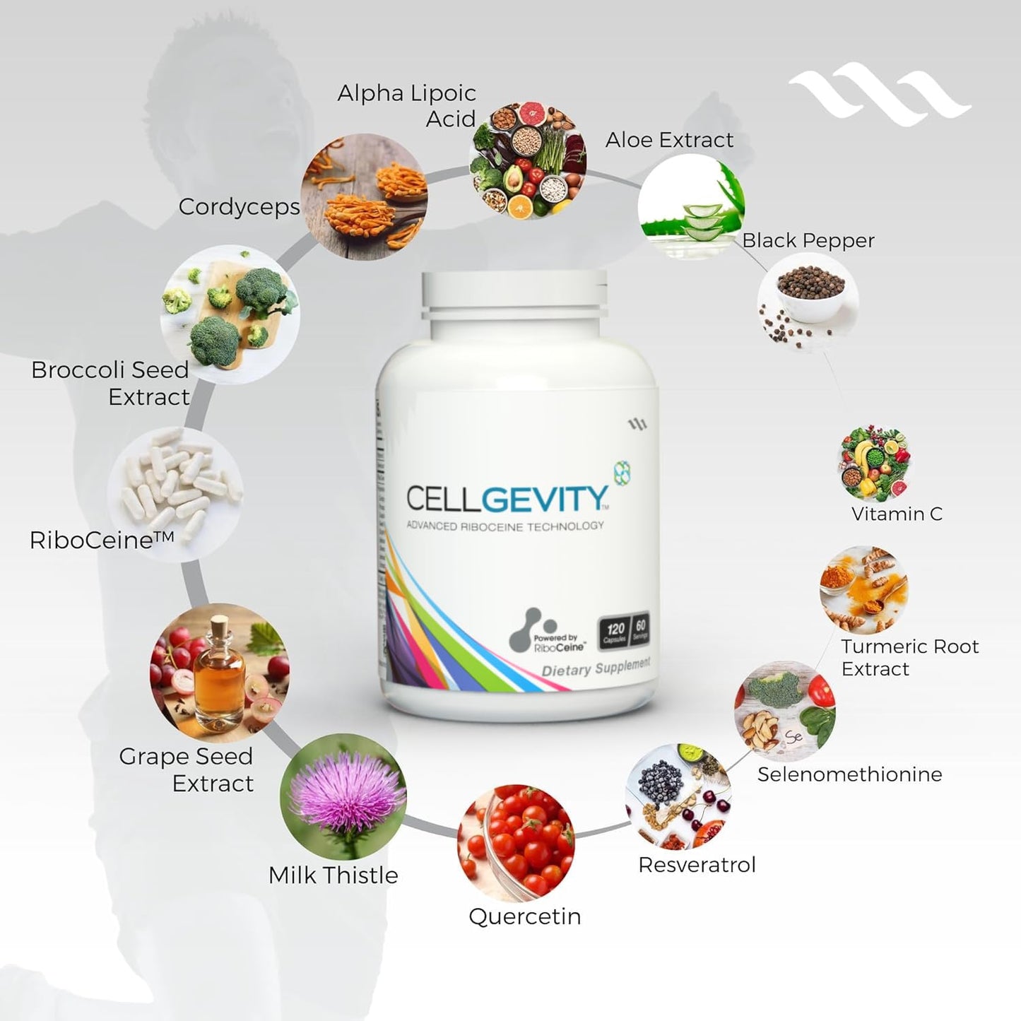 CELLGEVITY Cellgevity Advanced Riboceine Technology 240 Capsules