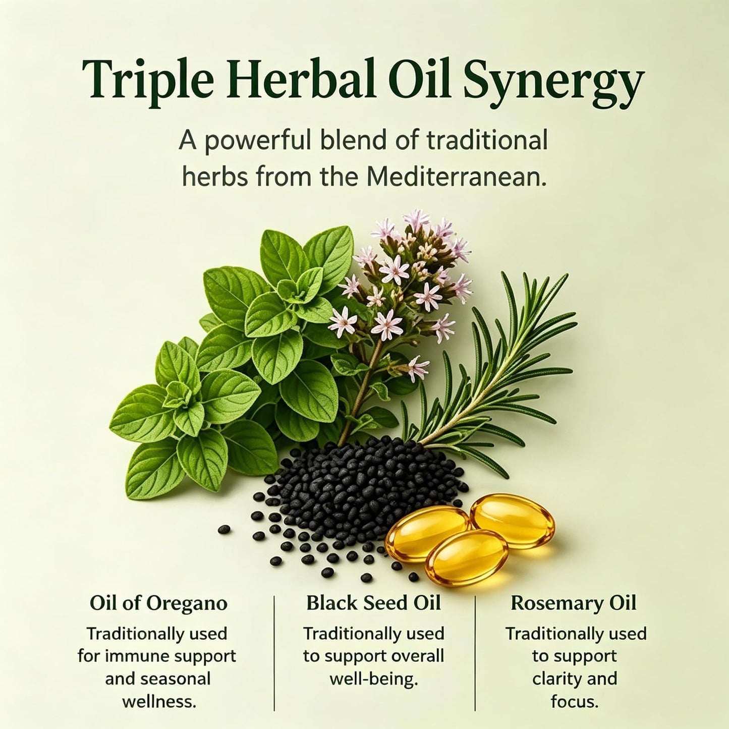 chasingdre Oravita Mediterranean Triple Oregano Oil Softgel 1 Count