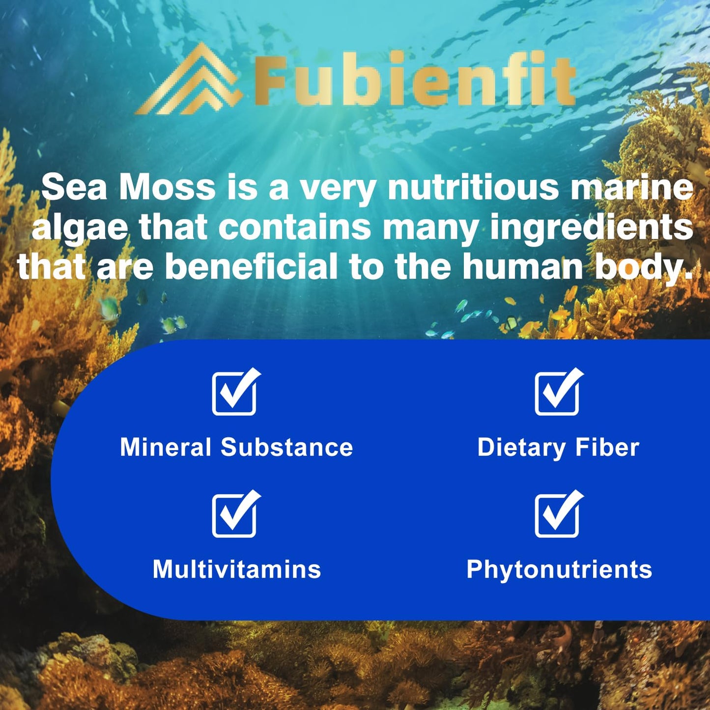 Fubienfit Organic Sea Moss Capsules 60 Count