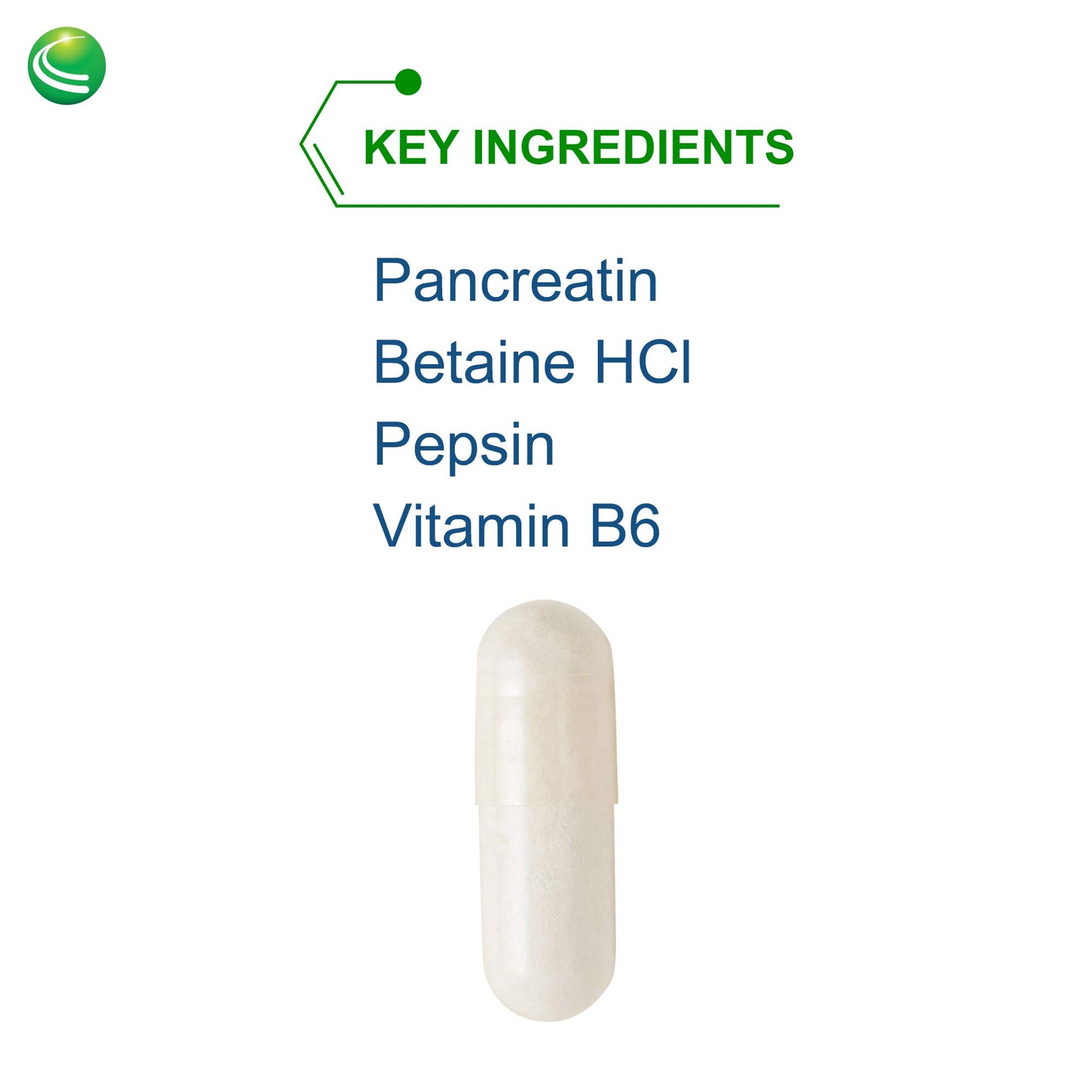Nutra BioGenesis PanZyme Betaine HCl with Pepsin, Pancreatin, Lipase and Protease, Cellular Energy, Nervous System and Metabolic Health Support, 180 Capsules
