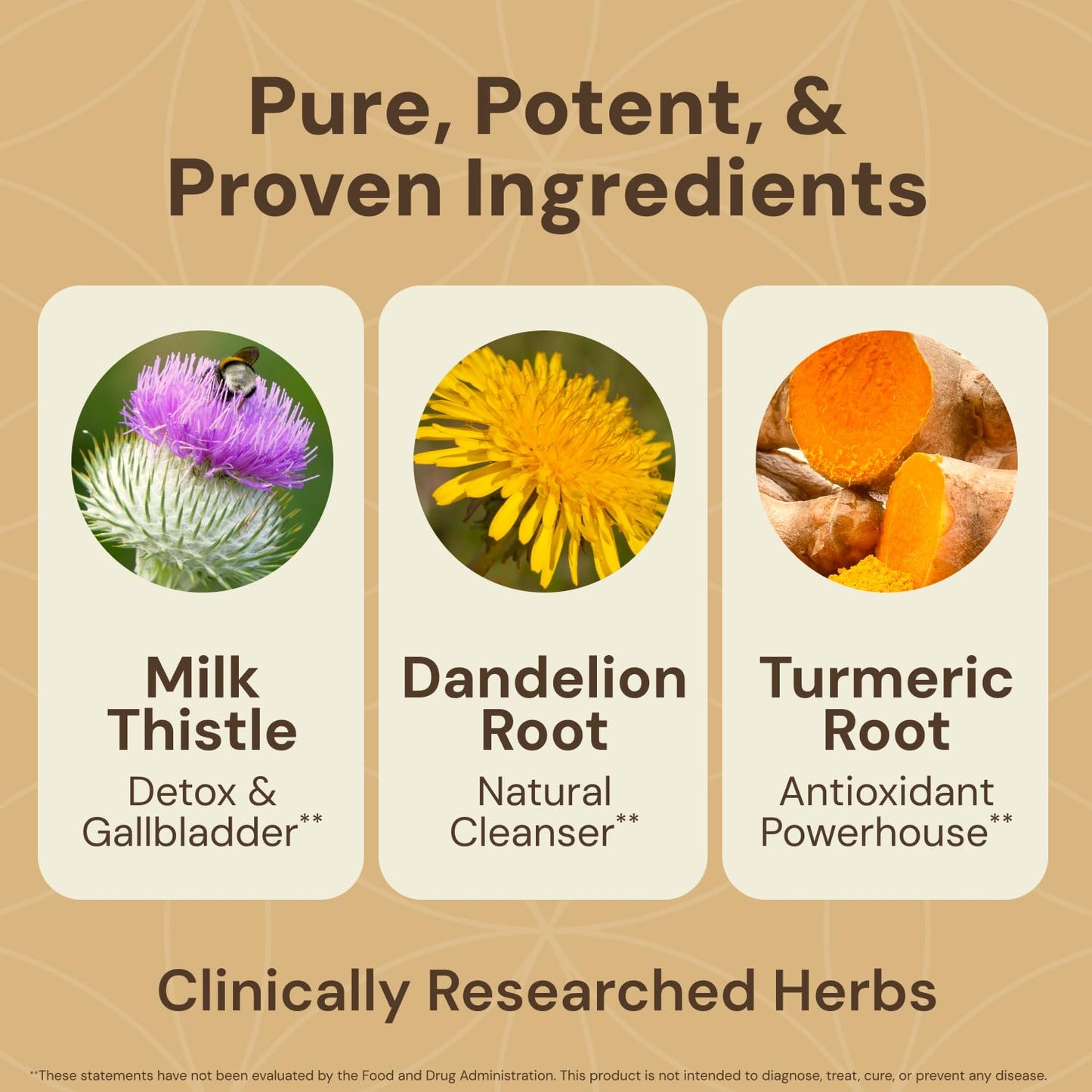 HEALTHFORCE SUPERFOODS Liver Rescue Natural Liver Cleanse with Milk Thistle & Dandelion Root Gluten-Free & Vegan 120 Capsules