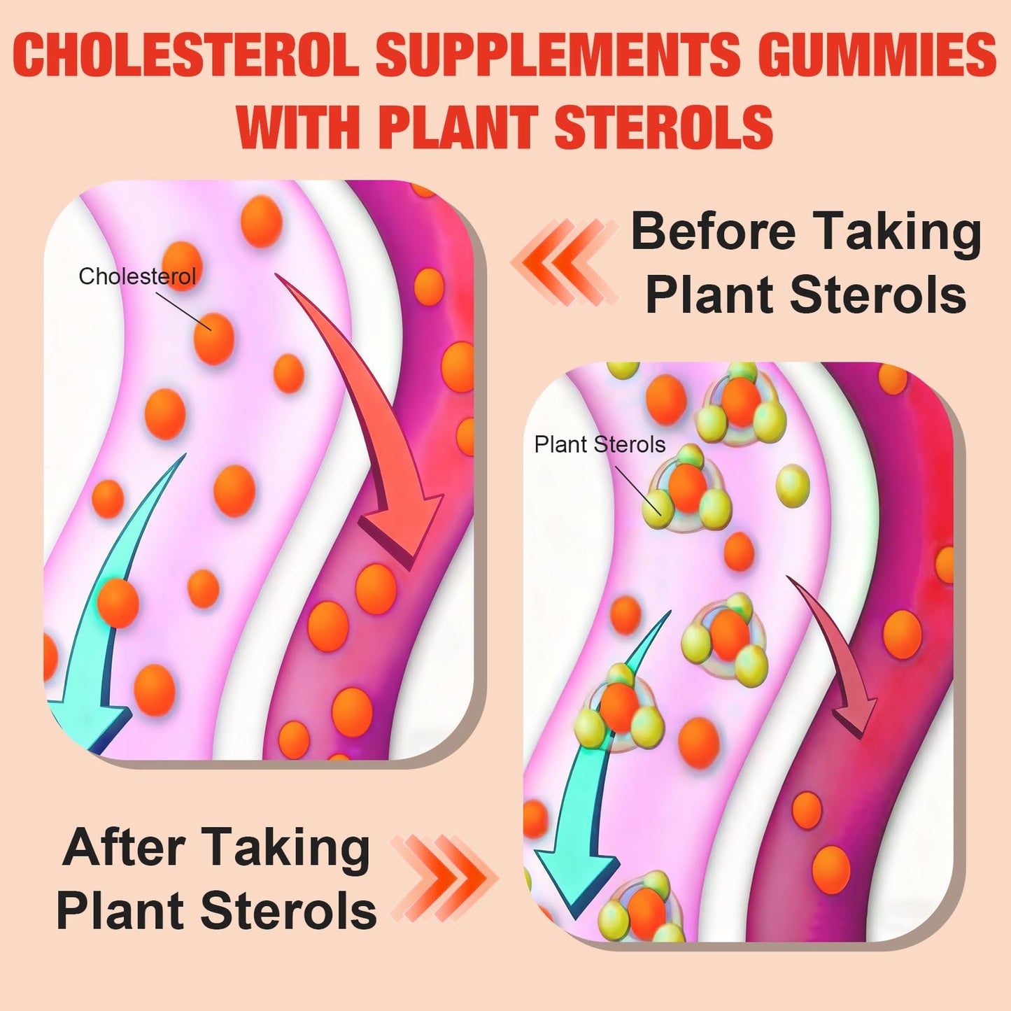 Healtionist Cholesterol Gummies with 2000 mg Plant Sterols & Stanols, Citrus Bergamot, Red Yeast Rice, Mixed Berry Flavor, 120 Gummies