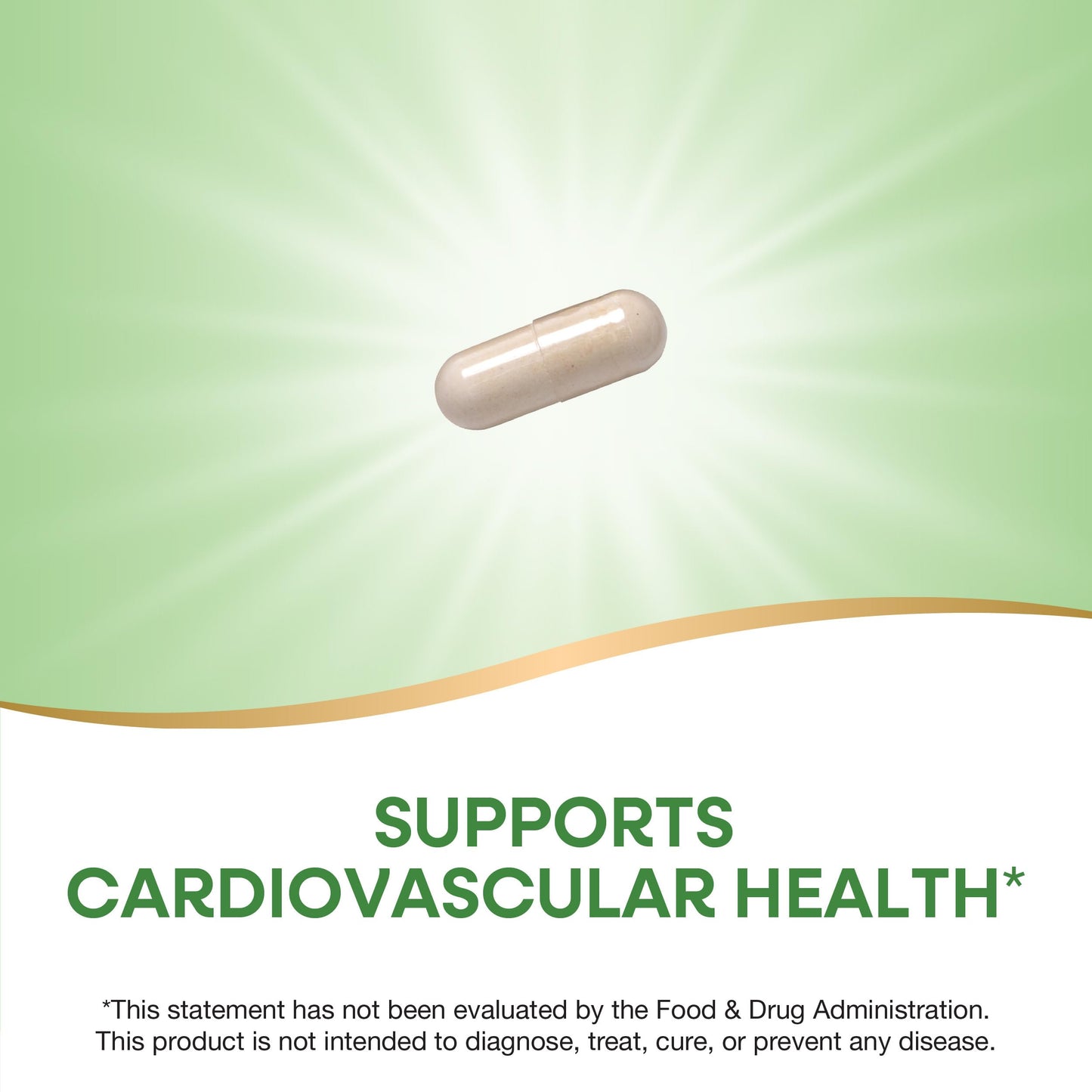 Nature's Way Garlic Bulb Capsules 580 mg per Serving, 100 ct