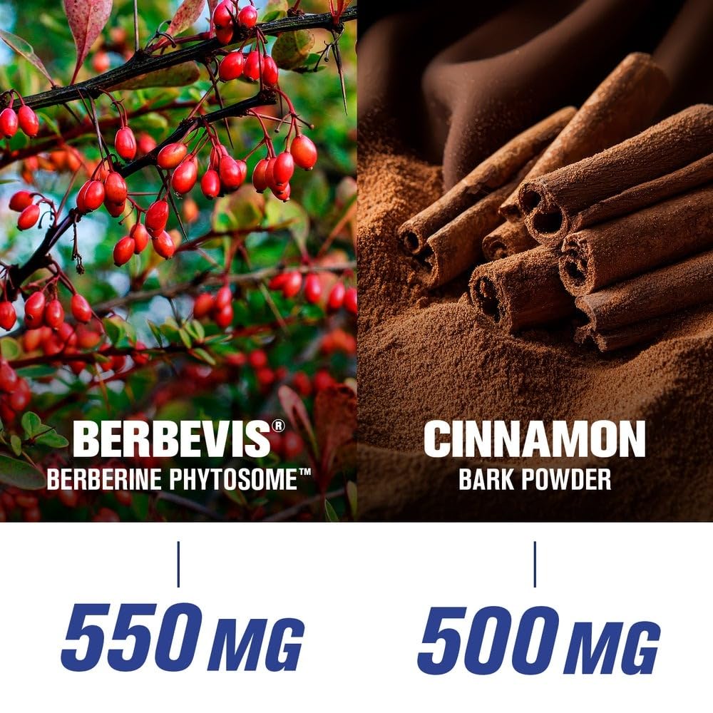 GAT SPORT Pro Berberine Berbevis Ceylon Cinnamon Extract Powder 26.4 oz