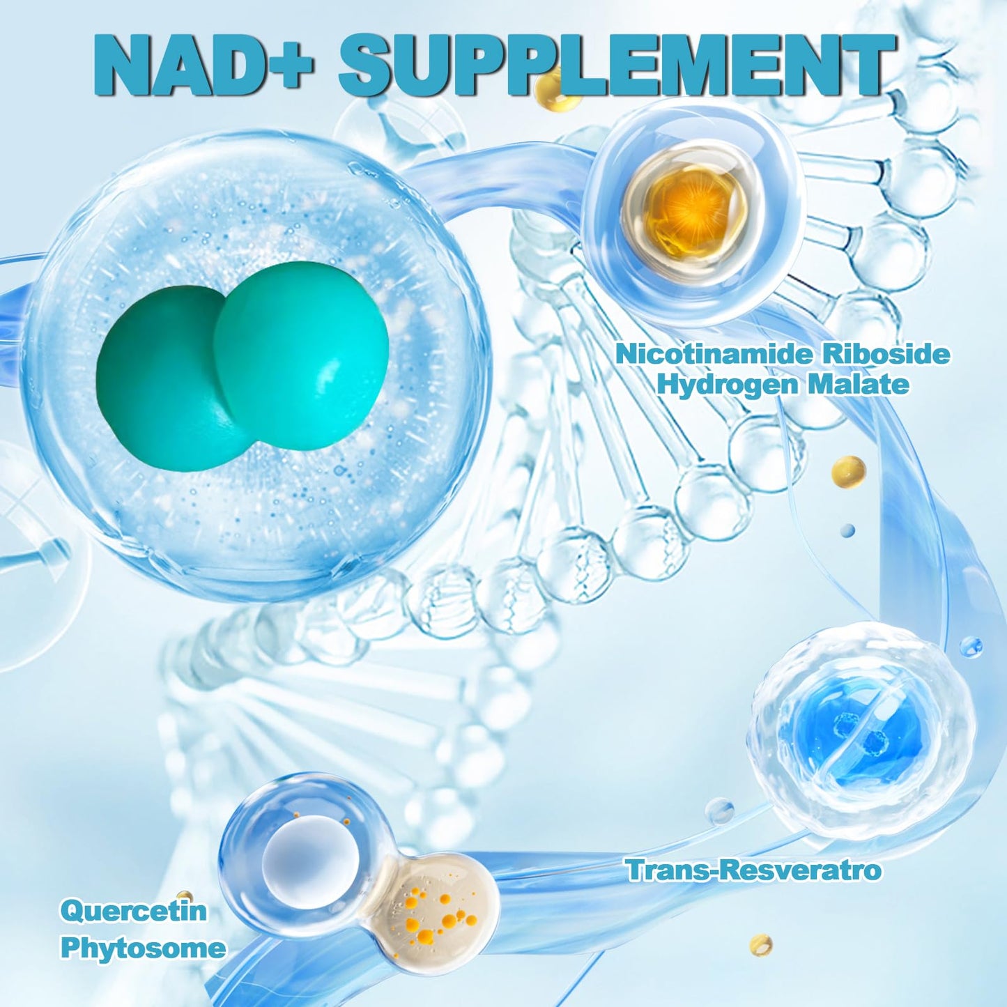SXNWSN NAD+ Gummies with Nicotinamide Riboside, Trans-Resveratrol & Quercetin - Anti-Aging Energy Support & Cellular Health, Sugar-Free Blueberry Flavor 90 ct