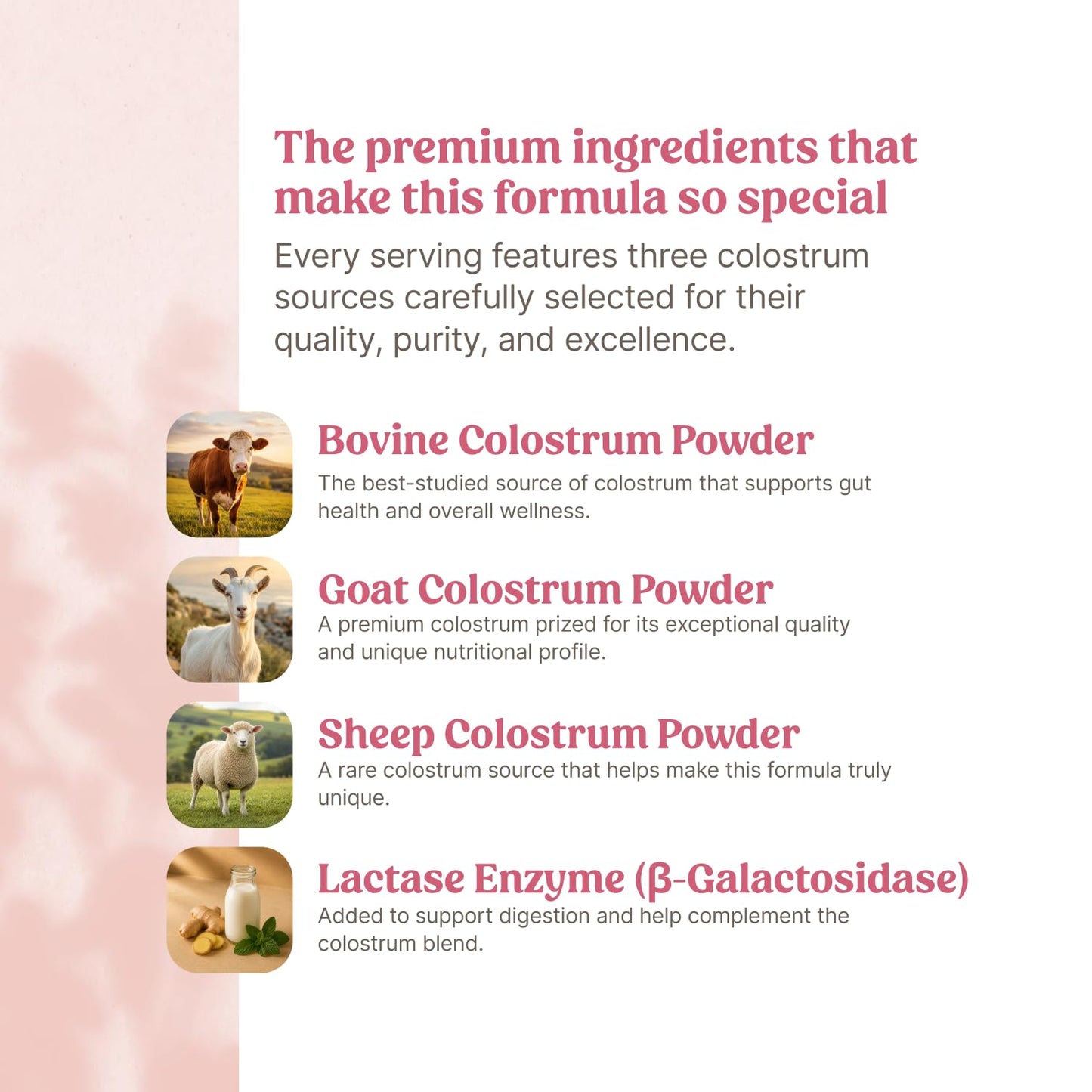 Happy Mammoth Triple Source Colostrum Powder Supplement for Gut Lining Maintenance, 2.54 oz
