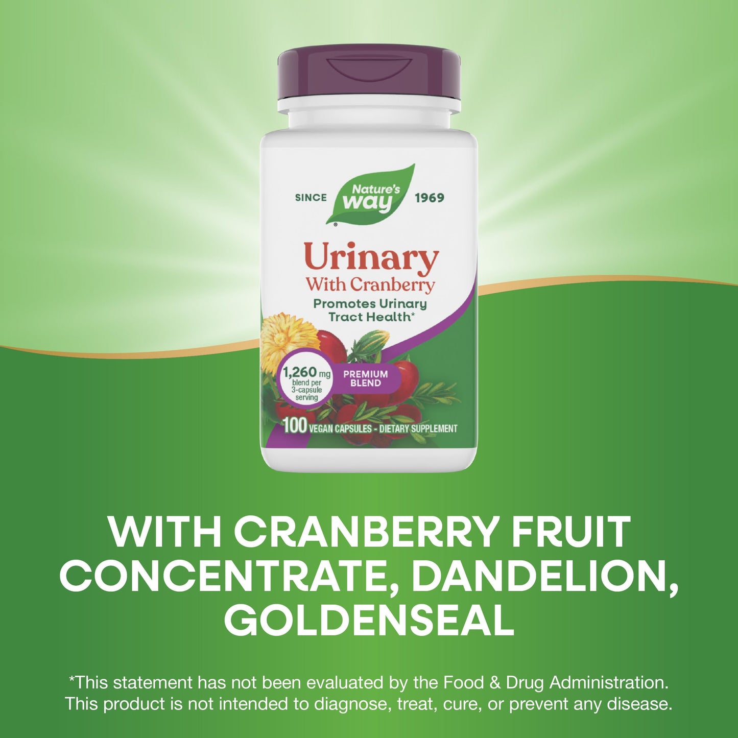 Nature's Way Urinary with Cranberry Premium Blend Capsules 100 Count
