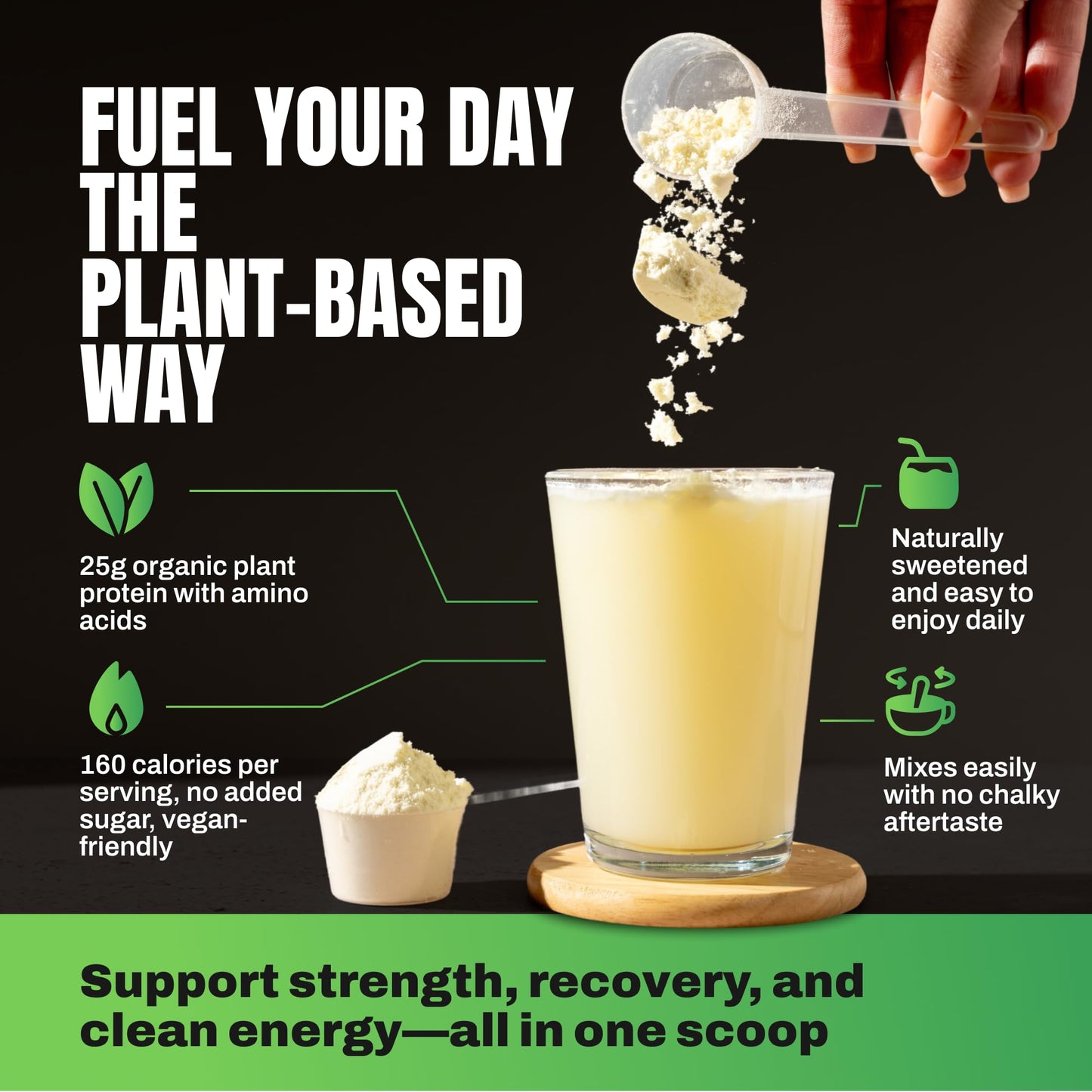 VEDGE Vanilla Protein Powder With Creatine Monohydrate And Vegan Omega 3
