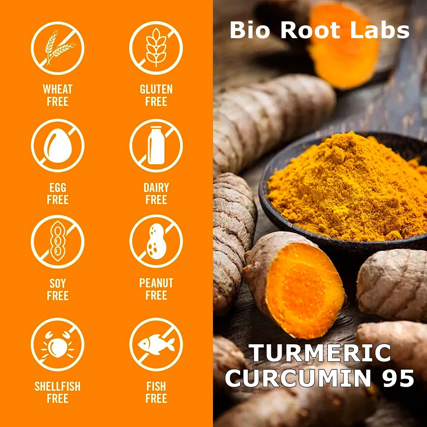 Biorootlabs Turmeric Curcumin Supplement Capsule, 120 Capsules