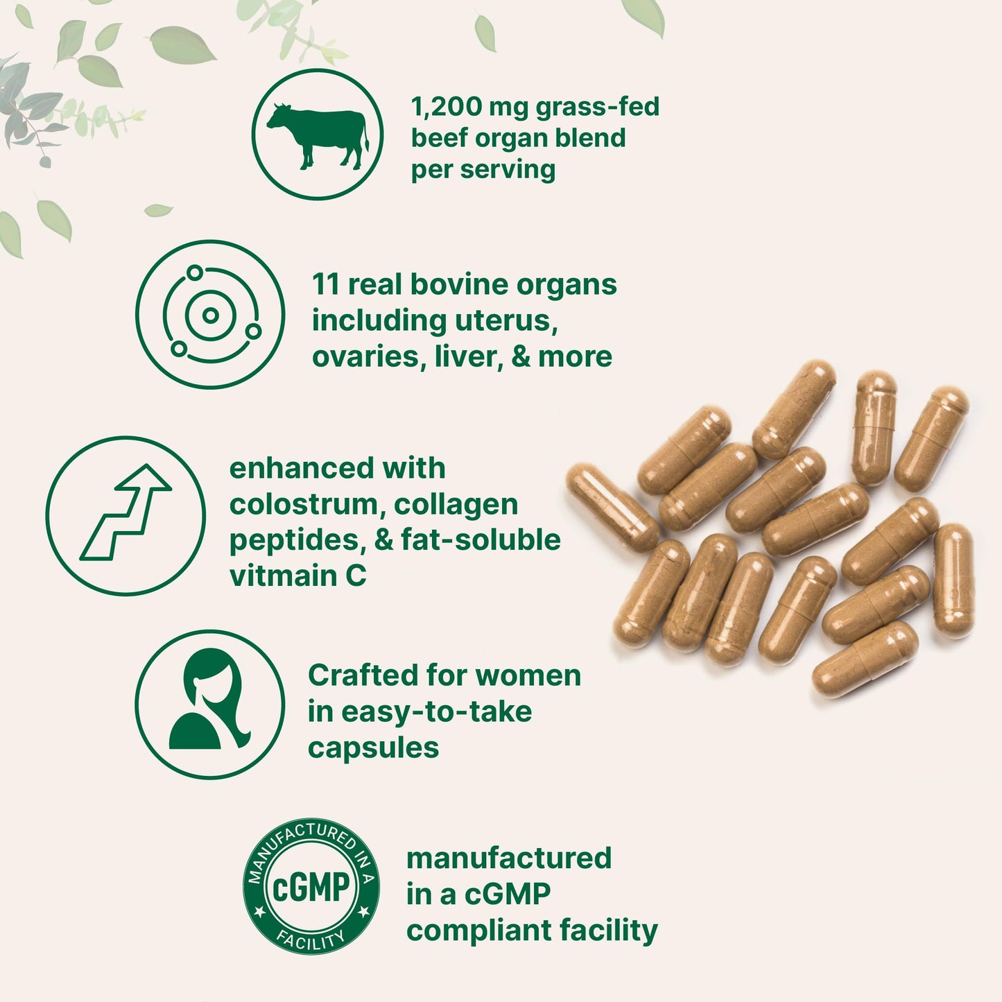 Micro Ingredients Grass-Fed Beef Organ Supplement for Women Capsules, 240 Count