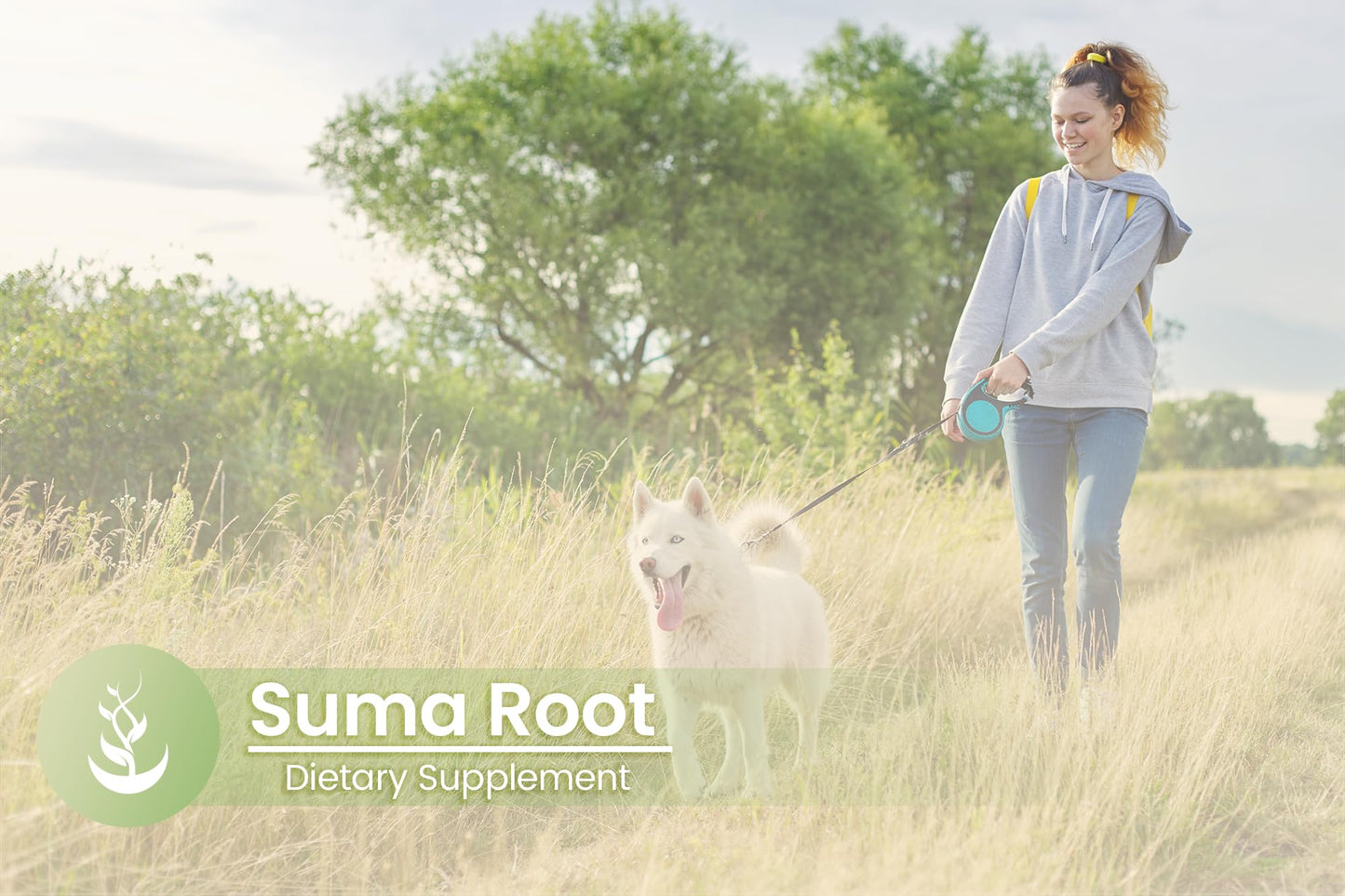 PURE ORIGINAL INGREDIENTS Suma Root Capsules 200