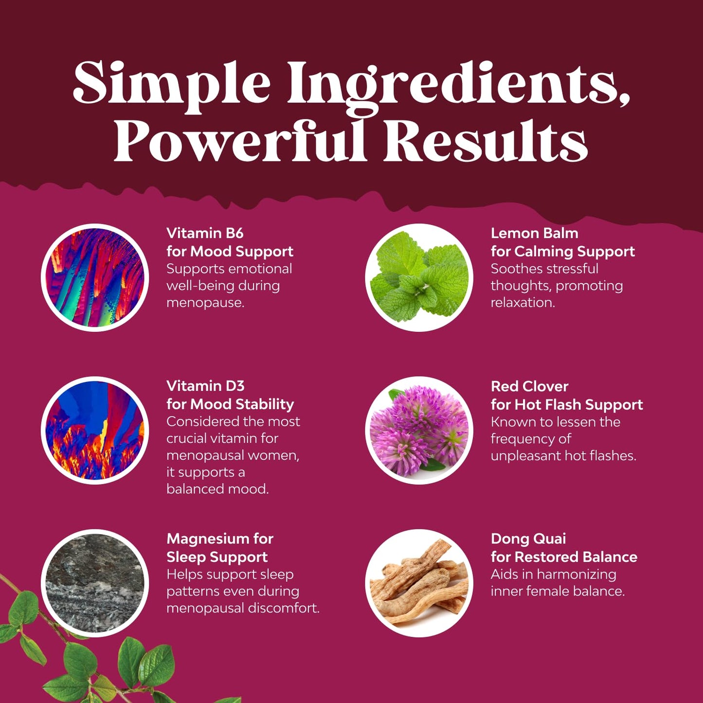 Natures Craft Complete Herbal Menopause Supplement for Women Capsules Soy Free Female Hormone Balance with Dong Quai, Chaste Berry & Black Cohosh Root, 75 Count