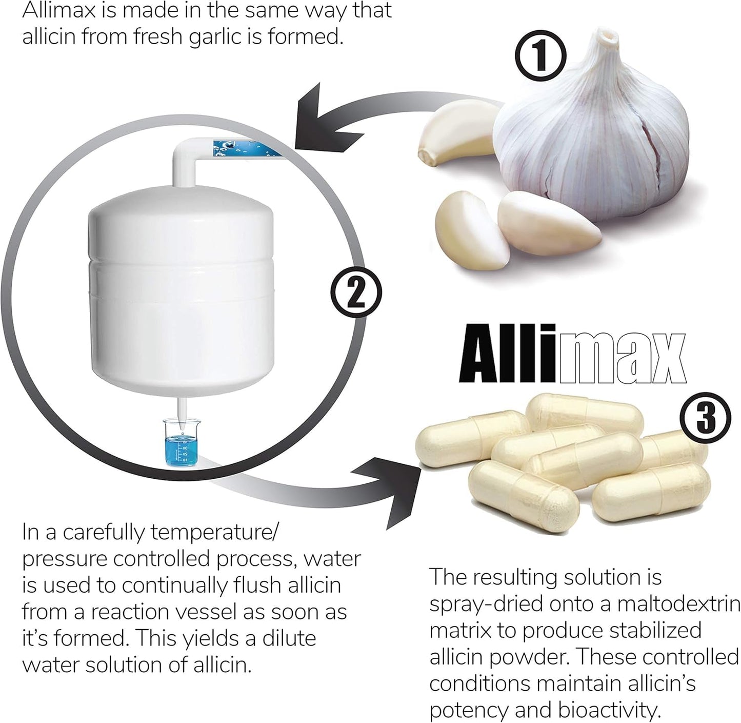 Lekullna Allicin Garlic Supplement Capsule, 1 Count