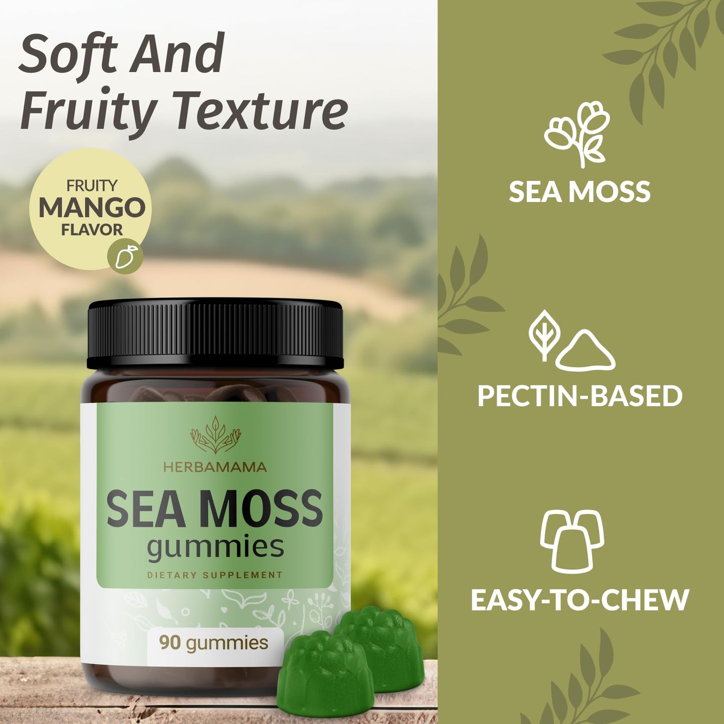 HERBAMAMA Sea Moss Gummies 1600 mg for Thyroid Support – Immune Support with Bladderwrack and Burdock Root, Vegan, Non-GMO, 90 Gummies