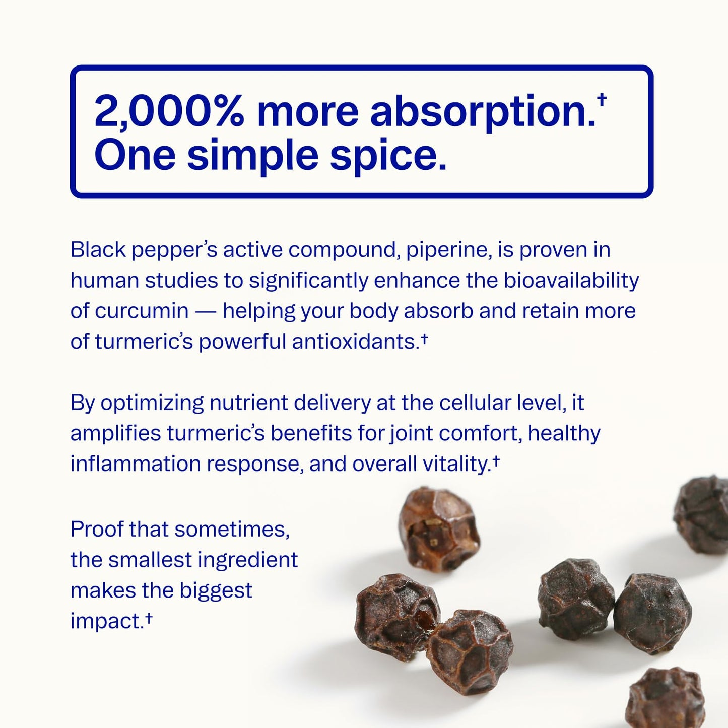 Ora Organic Turmeric Curcumin with Piperine Tablets 90 Count