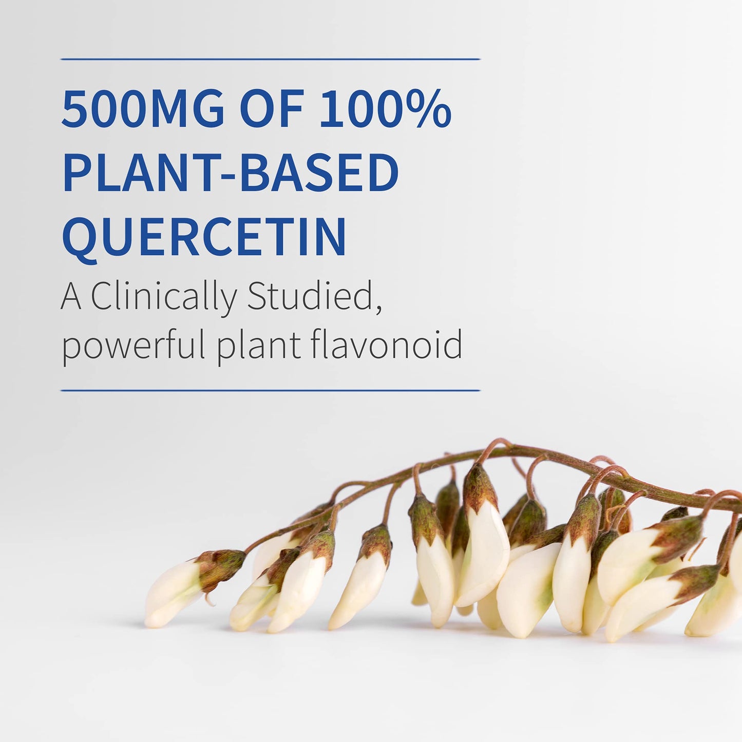 Garden of Life Dr. Formulated Quercetin Recovery Tablets 30 Count