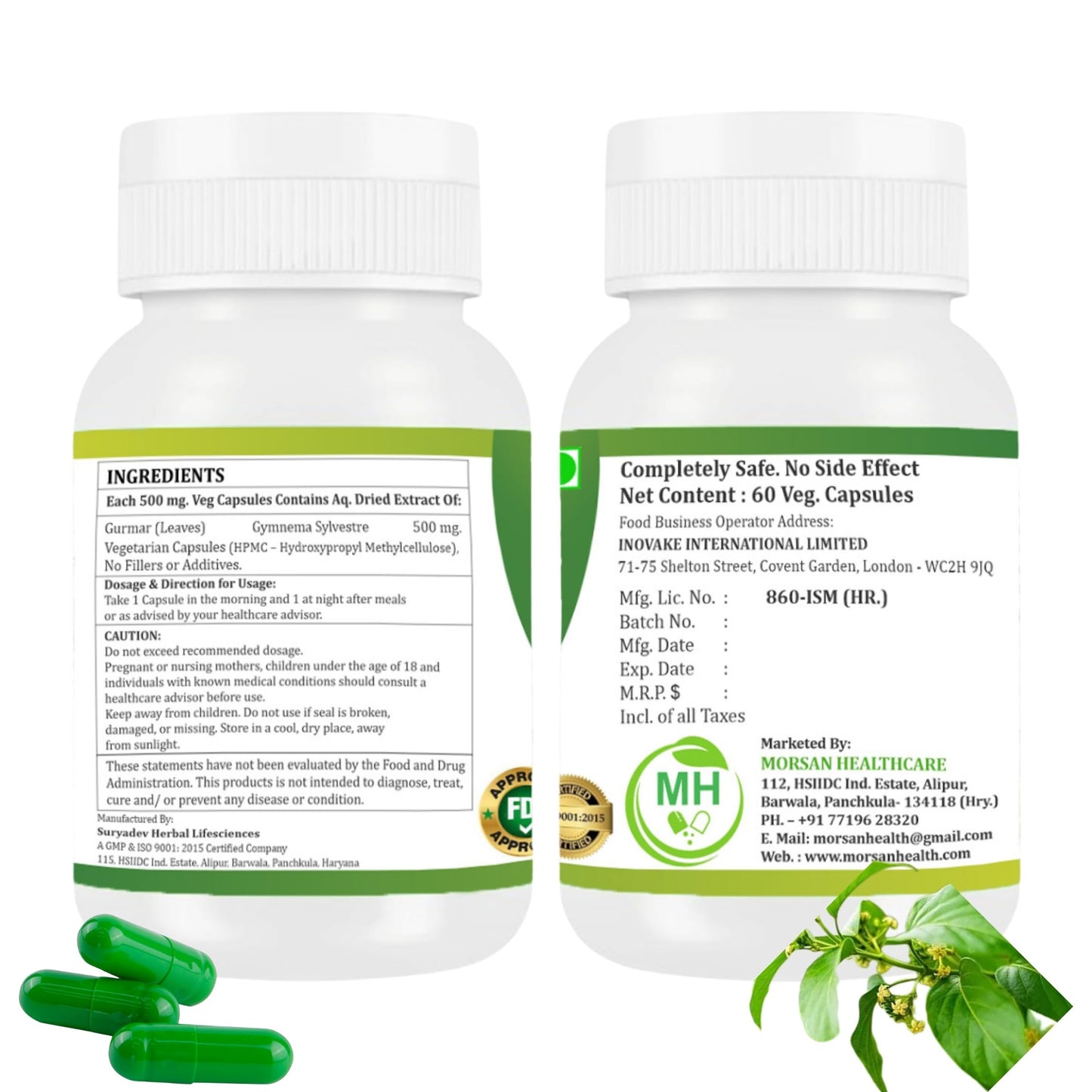 Generic Gudmar Extract (Gurmar) 120 Capsules