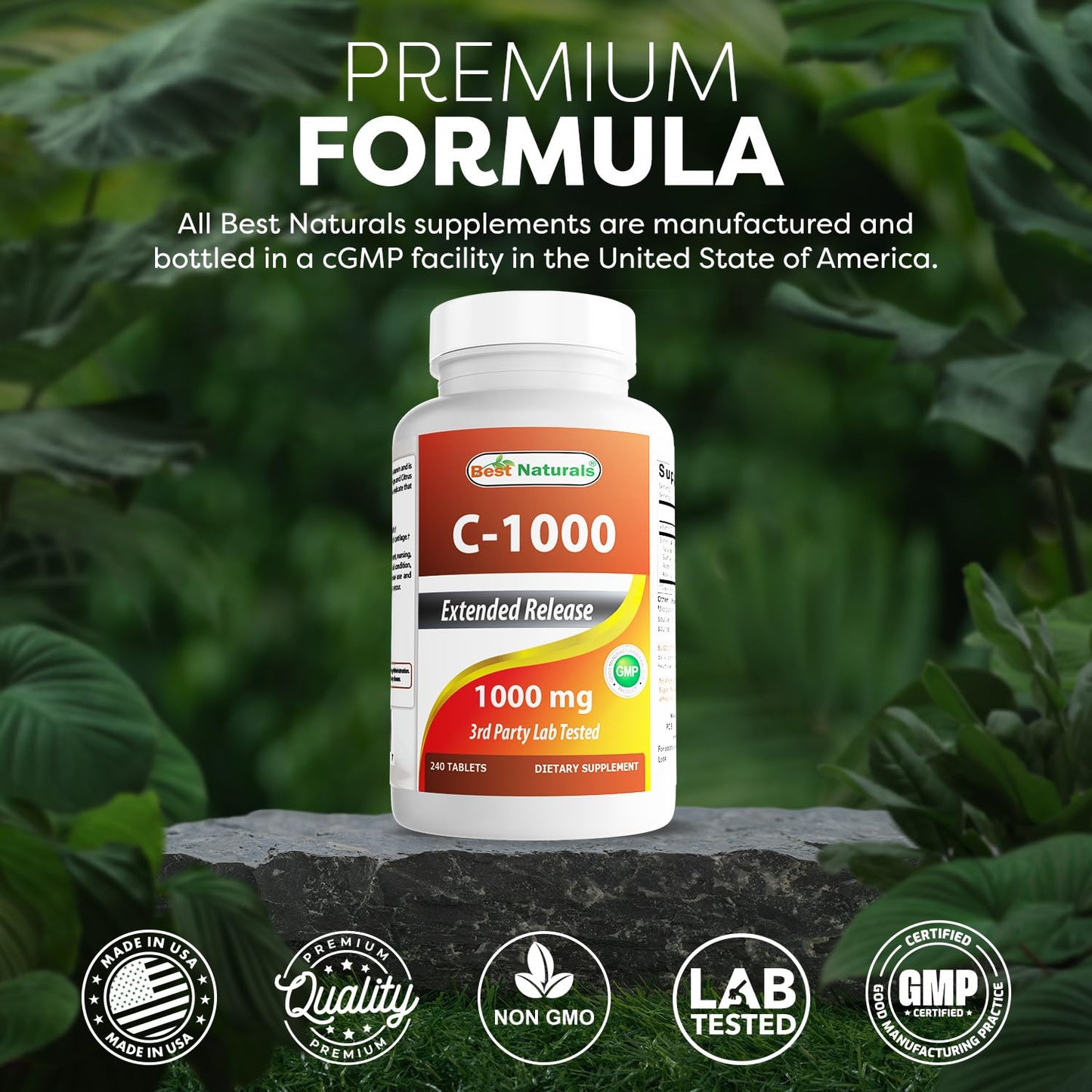 Best Naturals Vitamin C 1000 mg Tablets with Rose Hips, Berry 240 Count